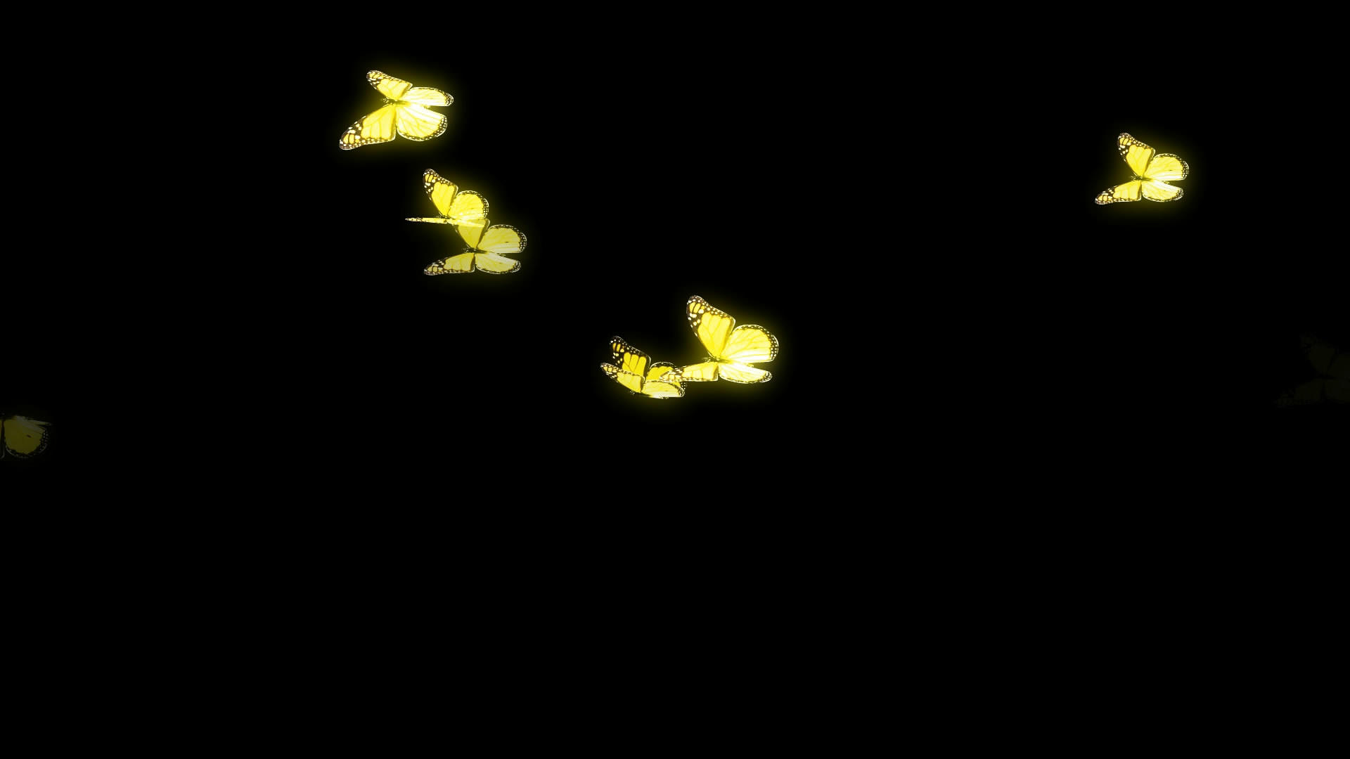 透明通道黄色小蝴蝶视频素材视频的预览图