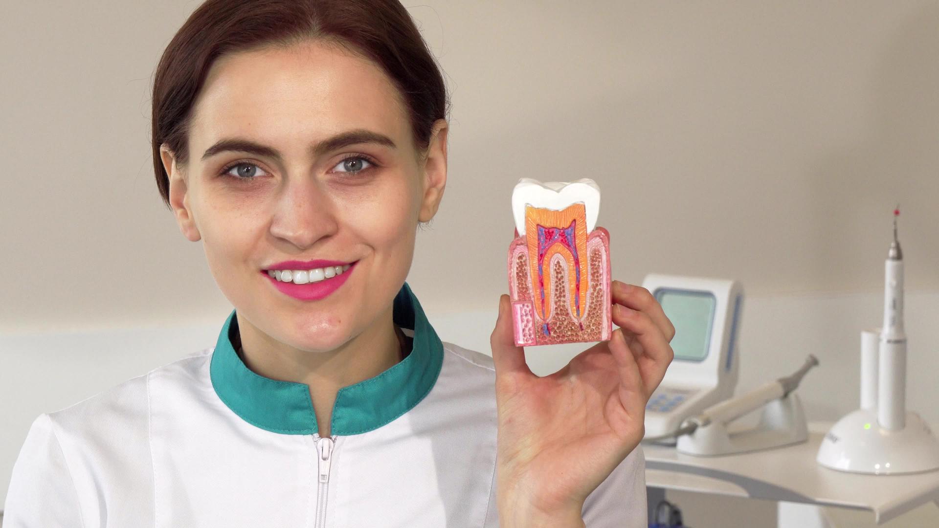 可爱的女牙医对着镜头微笑 举起牙齿模具视频的预览图