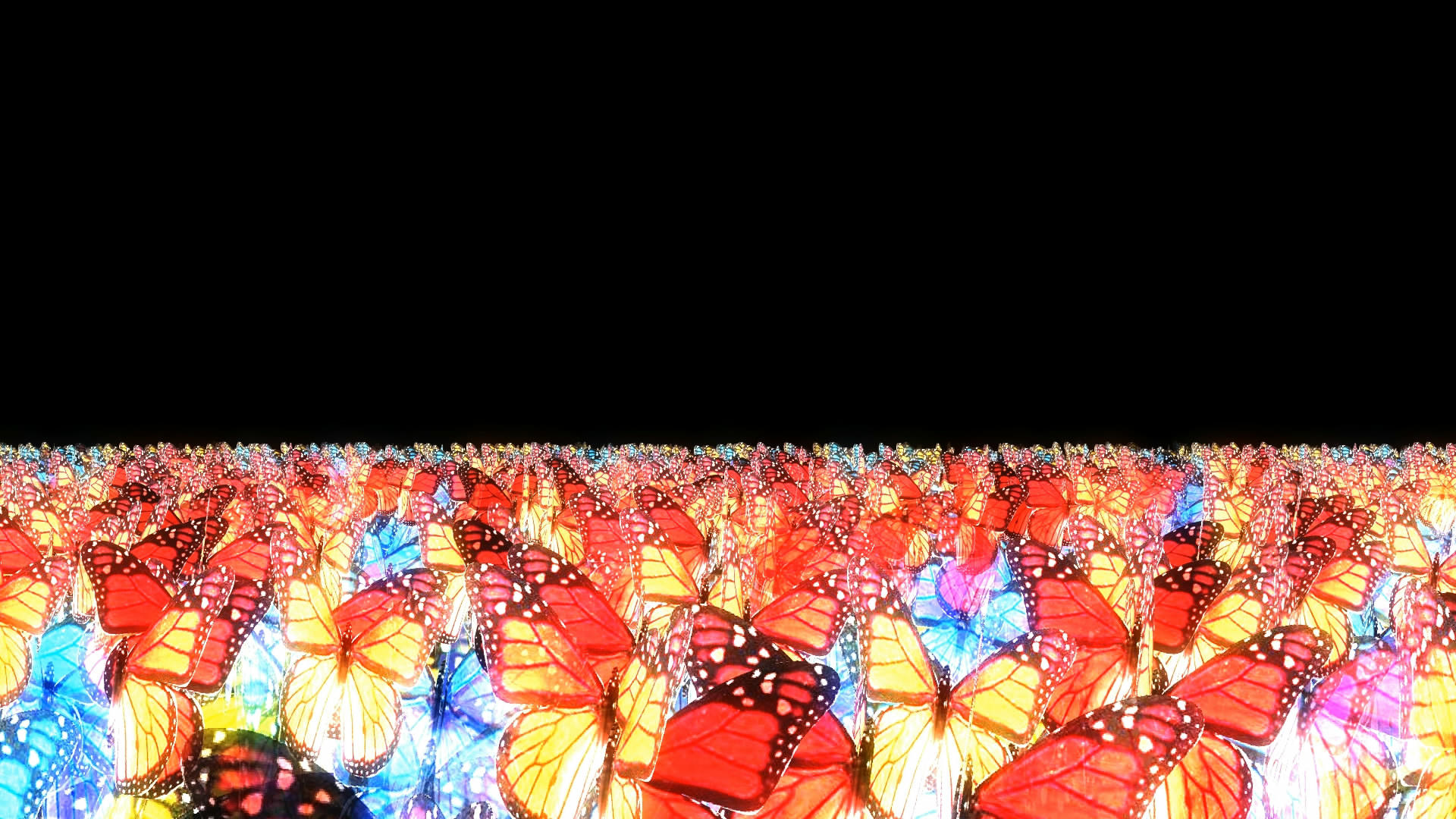 透明通道蝴蝶视频素材视频的预览图