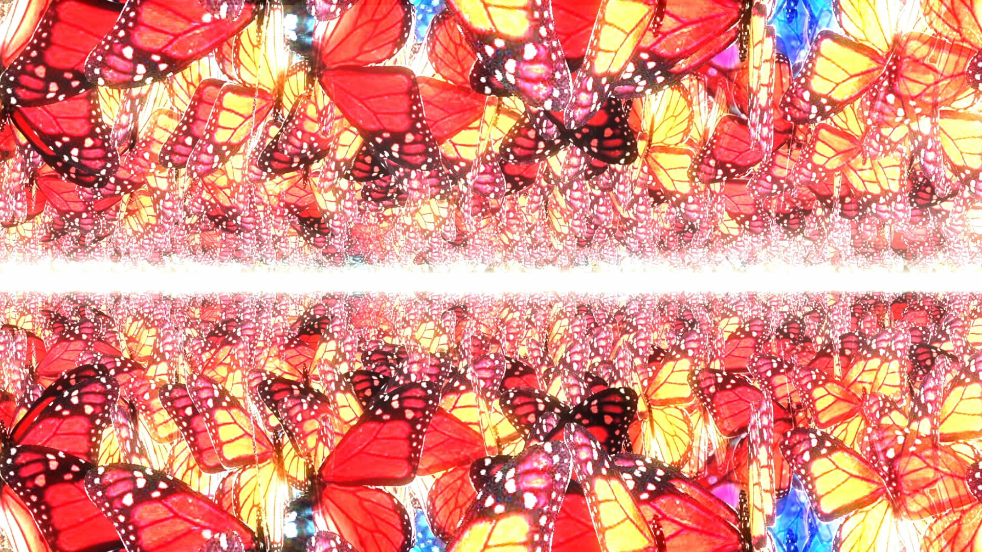 唯美的蝴蝶背景视频的预览图