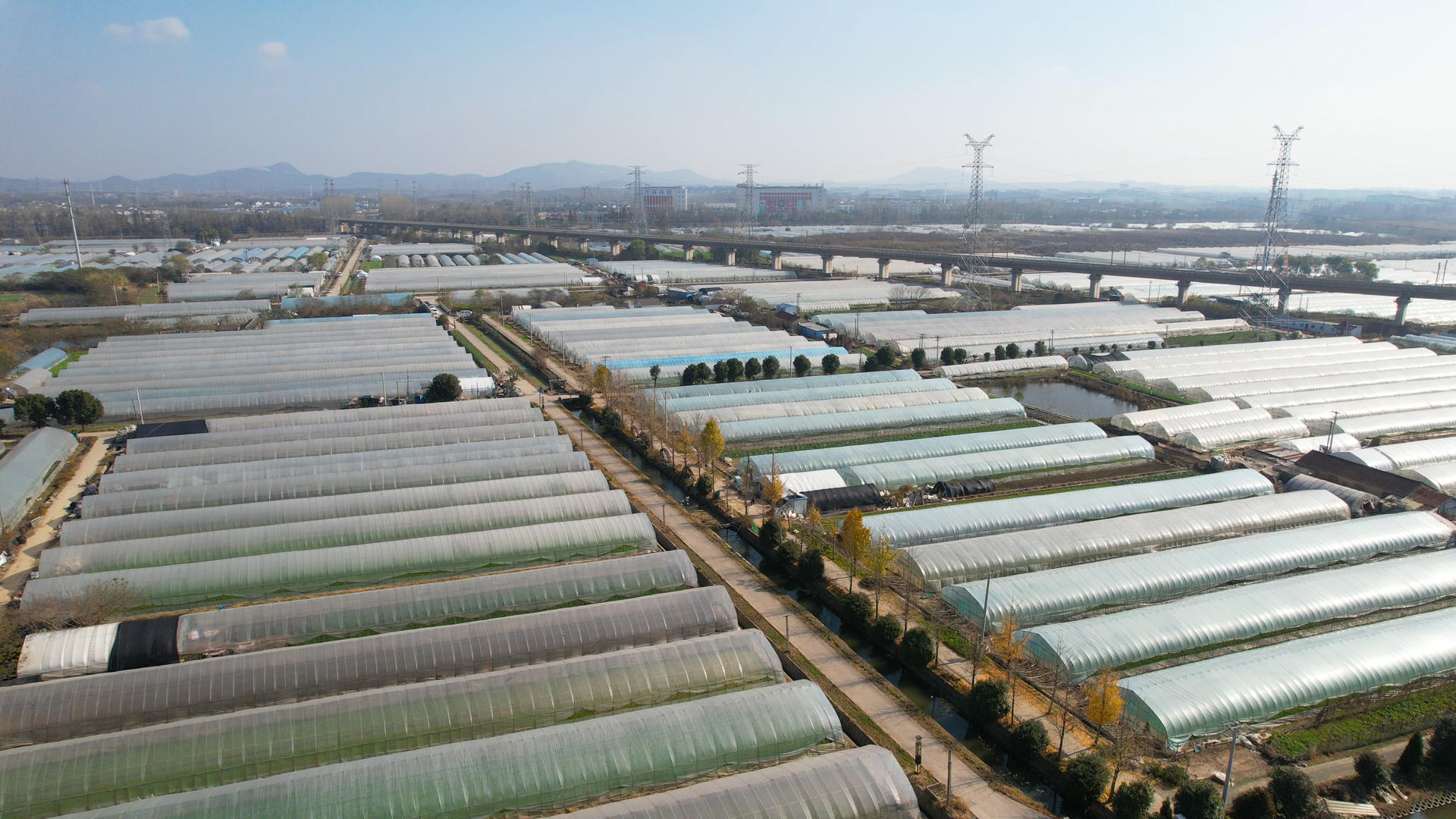 4k航拍南京农业基地塑料大棚视频的预览图