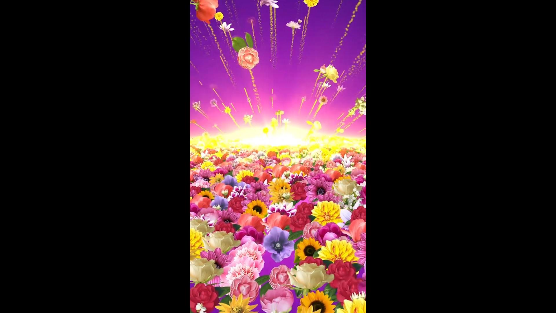 花朵万花齐放绚丽背景视频的预览图
