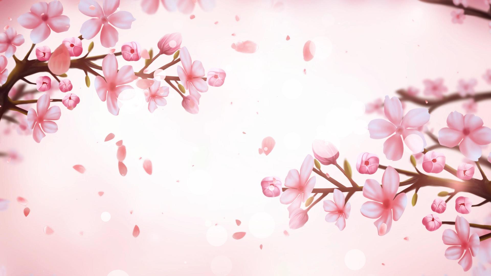 4K梦幻春天樱花背景视频视频的预览图