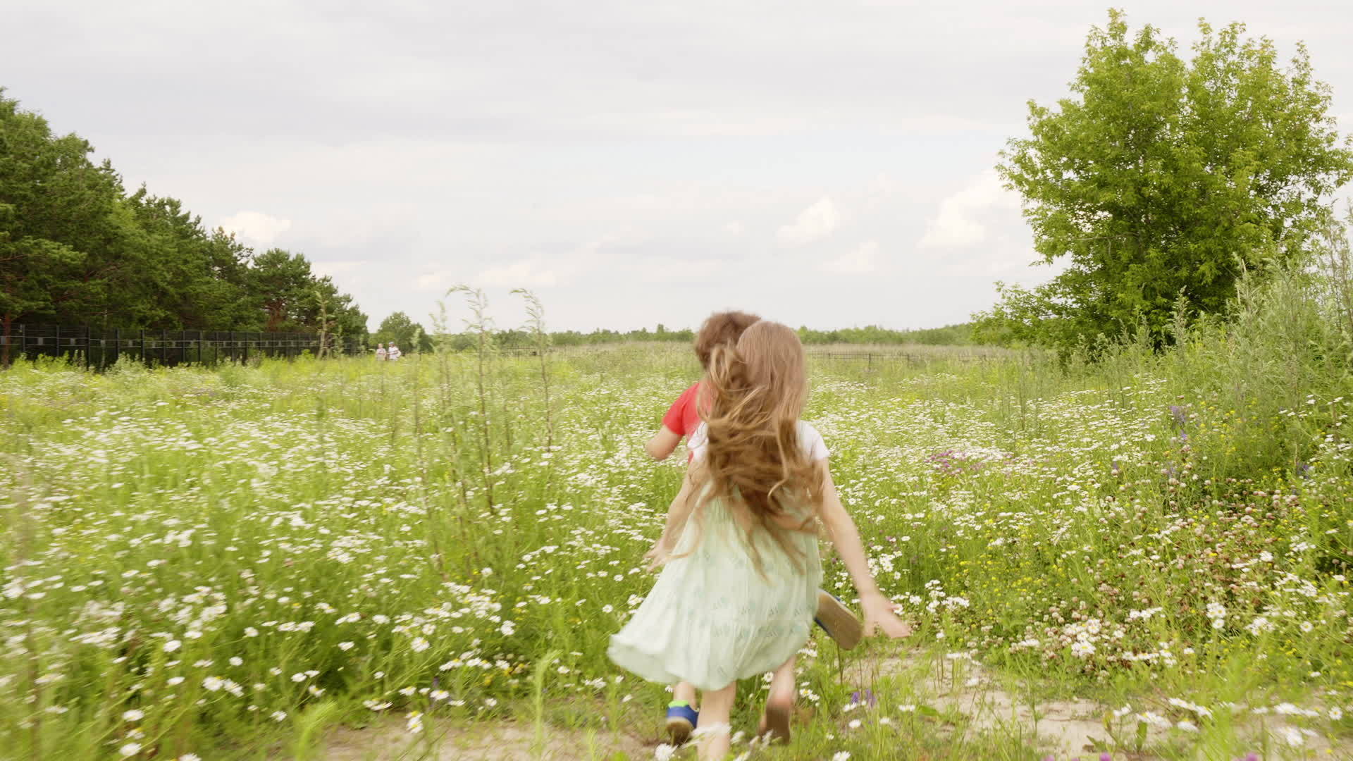 男孩和女孩在夏村的绿色田野上奔跑小弟弟和妹妹在开花视频的预览图