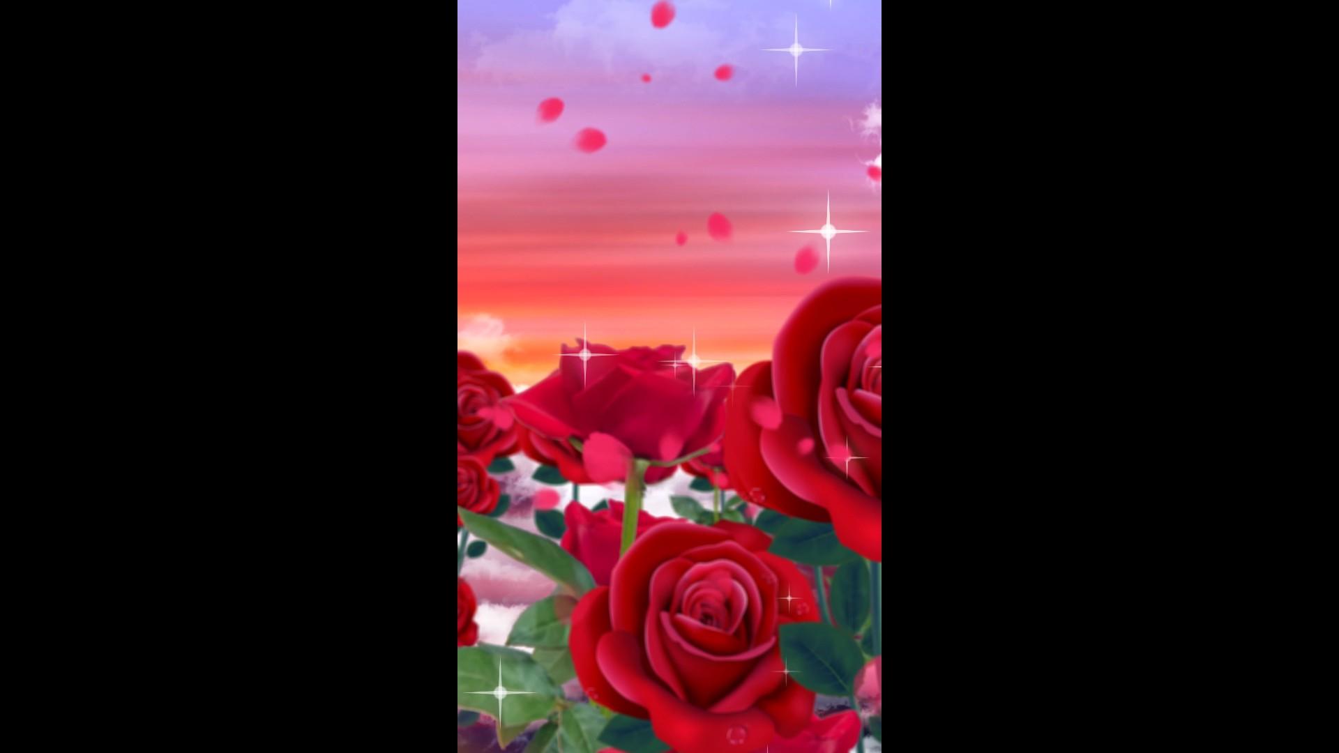 玫瑰粒子背景相册视频视频的预览图