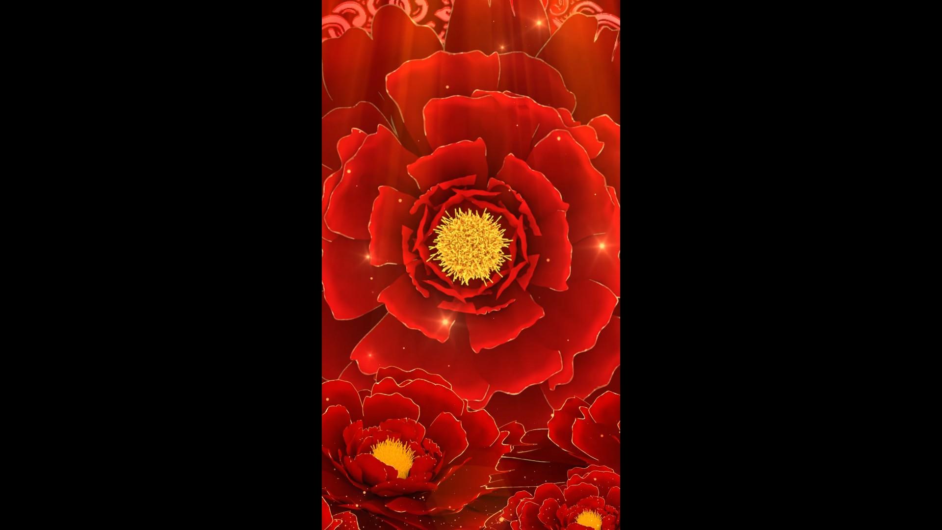 红色花朵大只粒子婚礼喜庆唯美背景视频的预览图