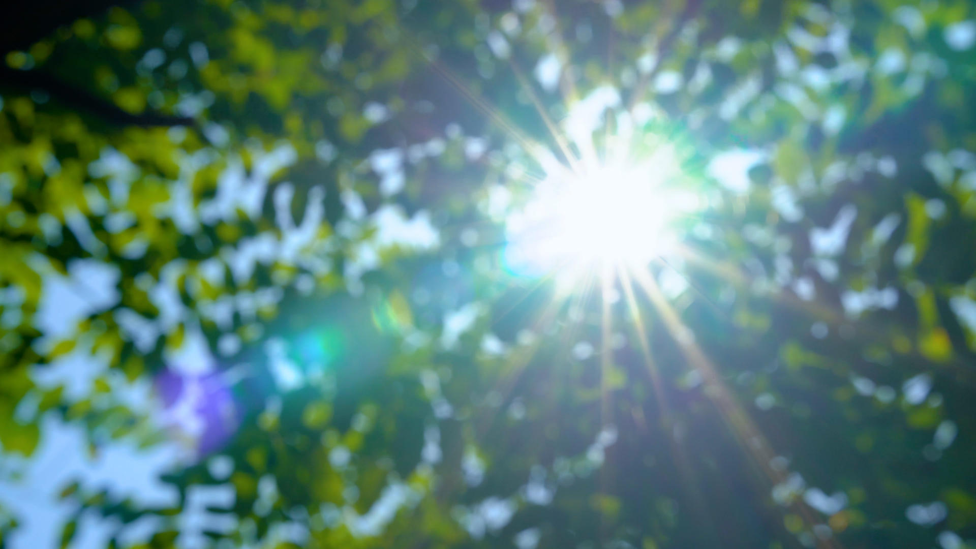 4k美丽的意境 夏天的阳光空镜视频的预览图