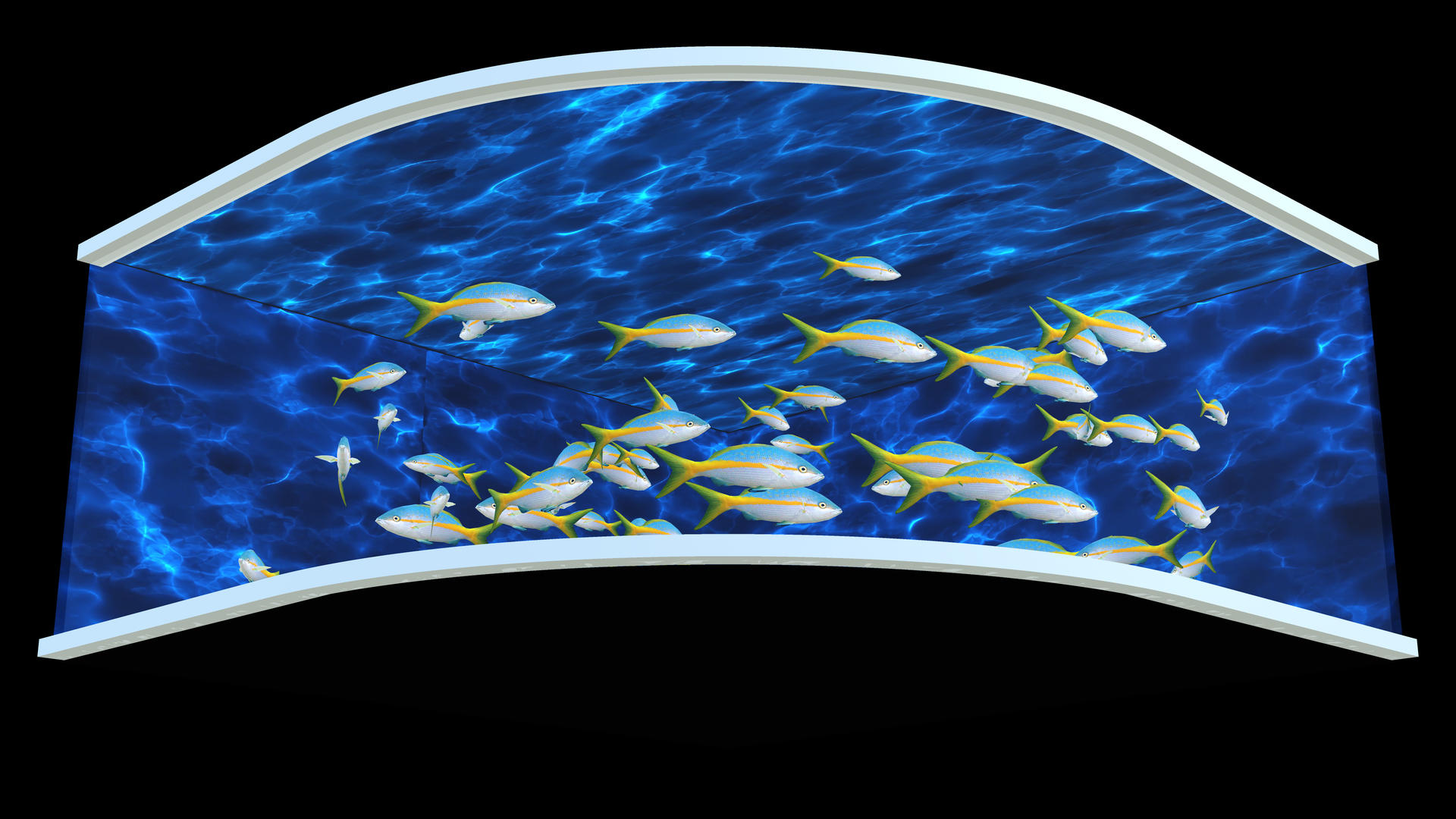 4K海底鱼群游荡裸眼3D效果视频的预览图