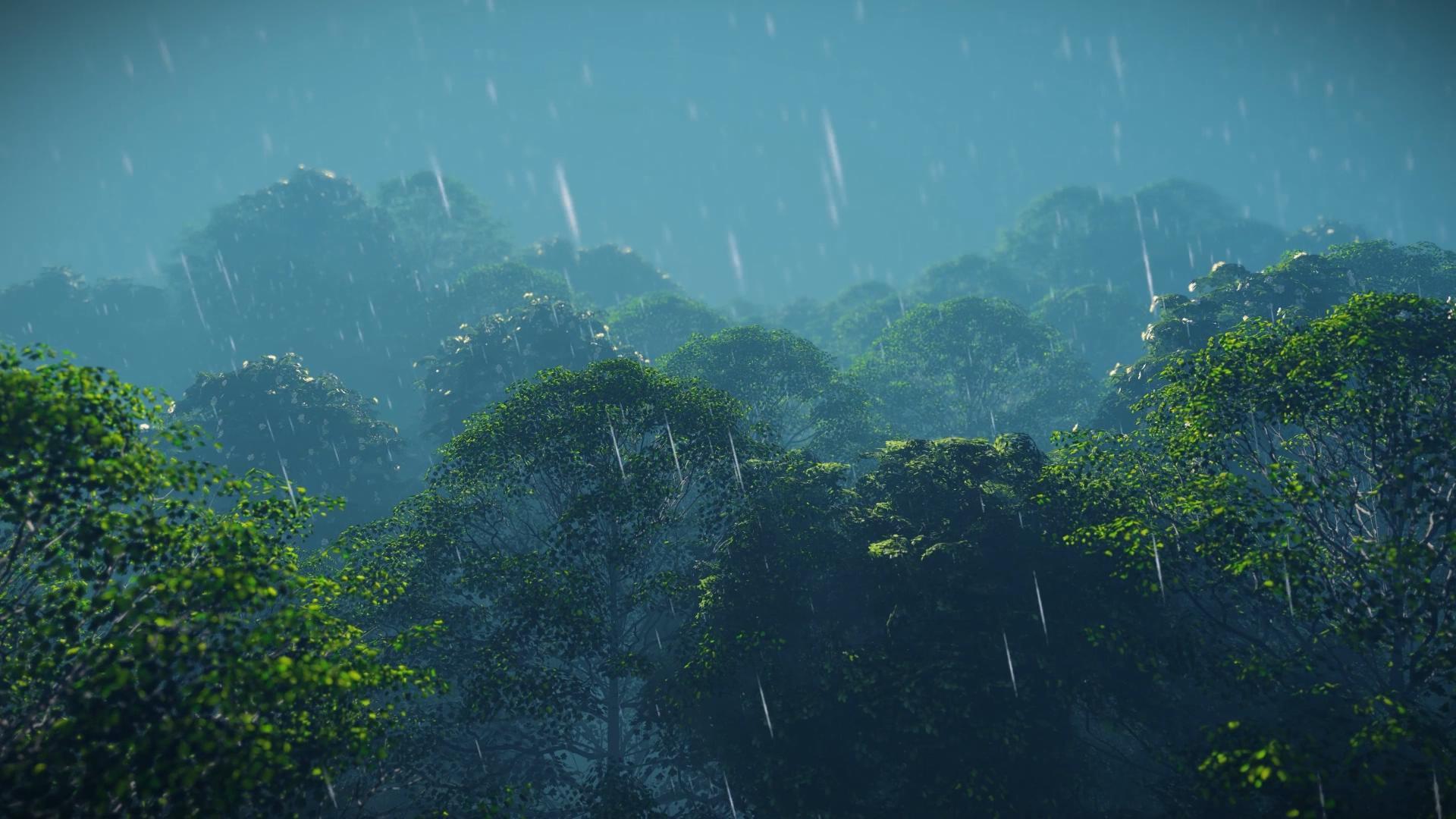 雨中森林三维风光背景视频的预览图