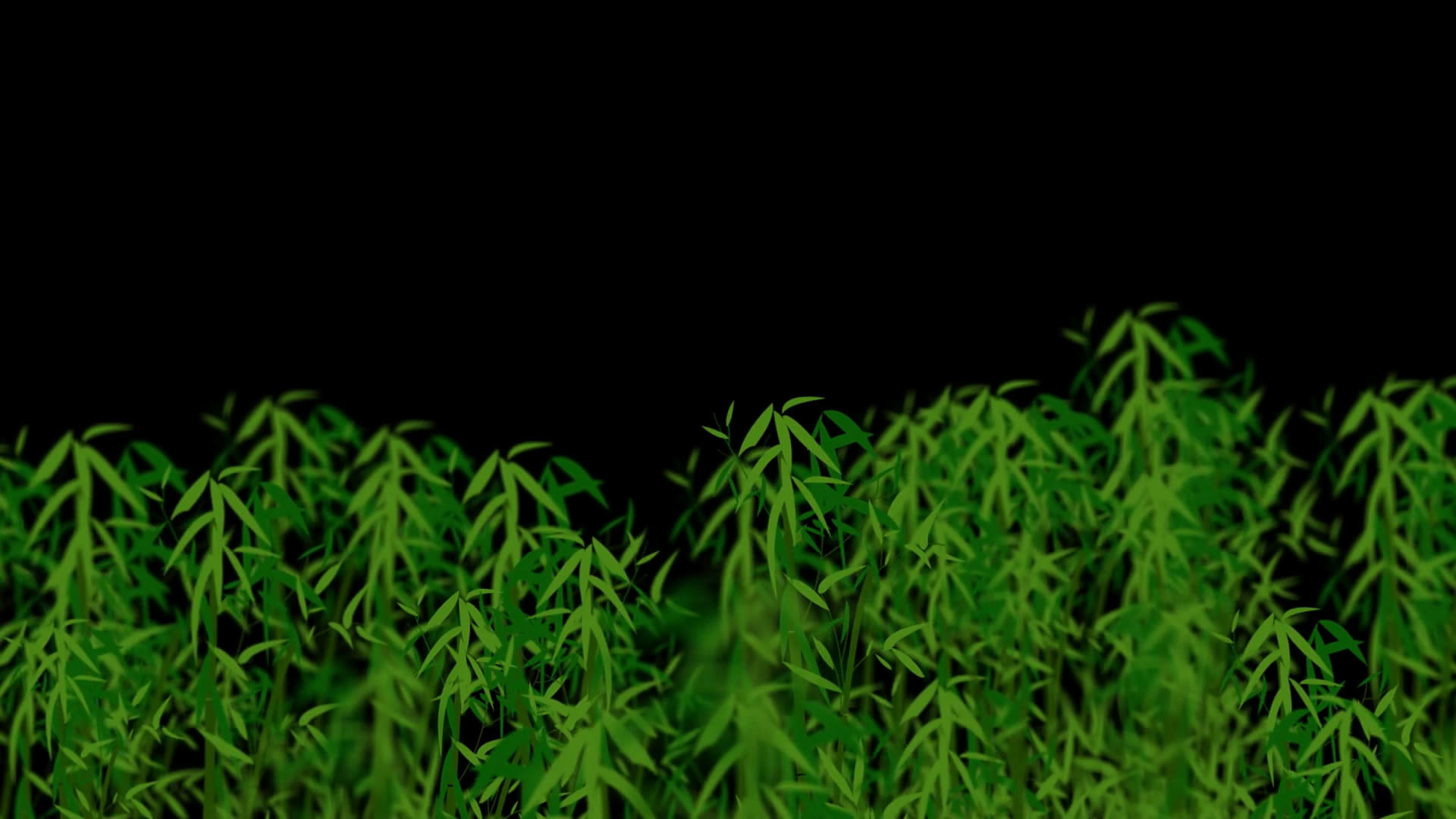 透明通道竹子视频素材视频的预览图