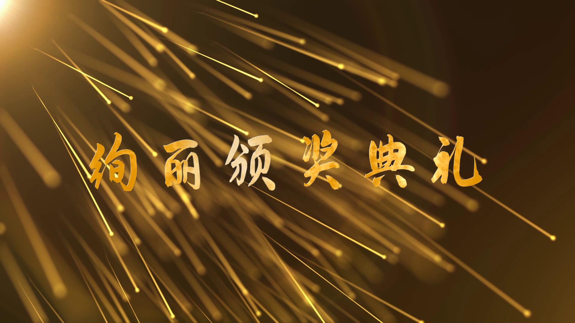 绚丽流光粒子颁奖典礼视频的预览图