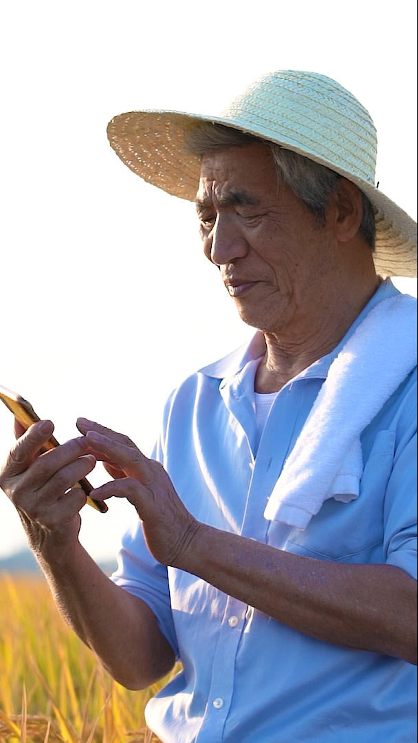 田地里的农民使用手机展示手机动作视频的预览图