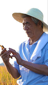 田地里的农民使用手机展示手机动作的预览图