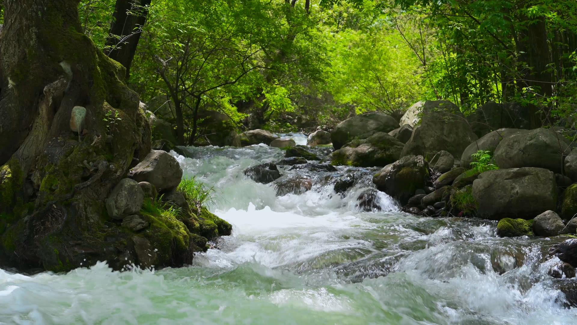 4K山涧溪流动态素材视频的预览图