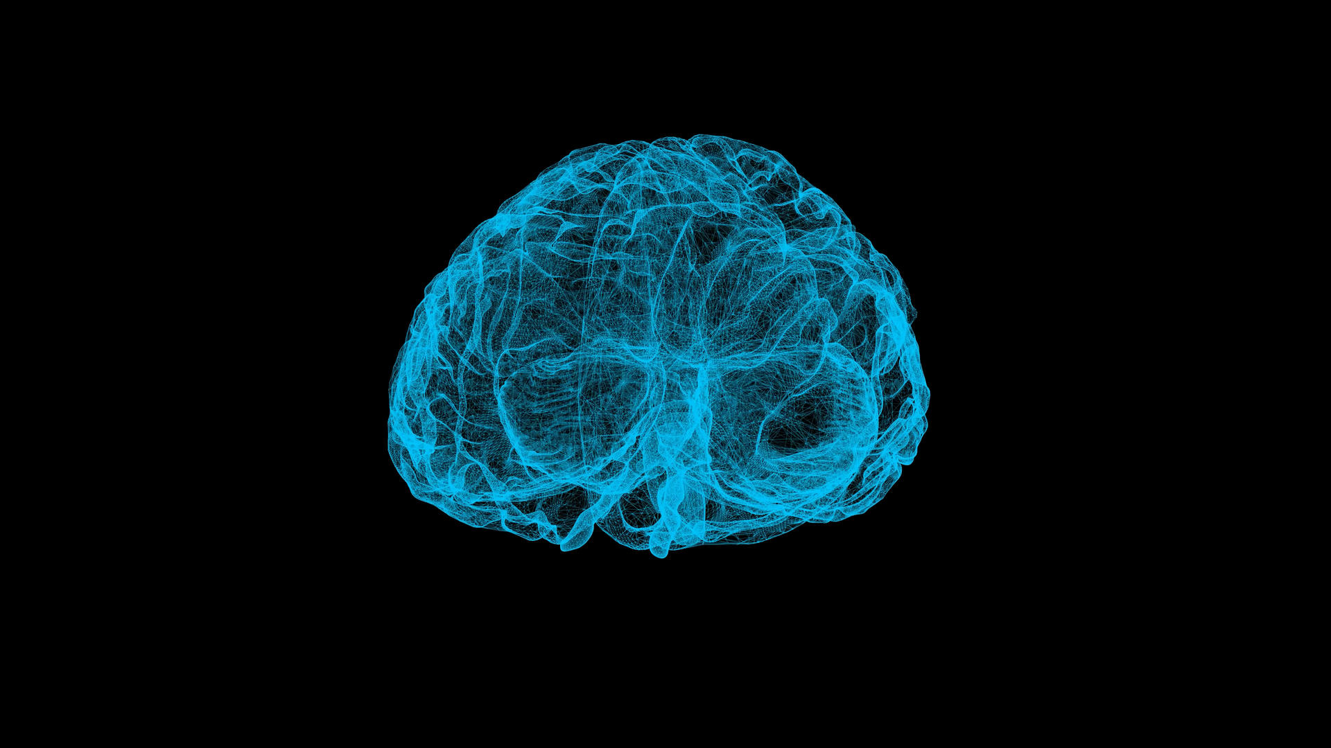 三维粒子大脑视频的预览图