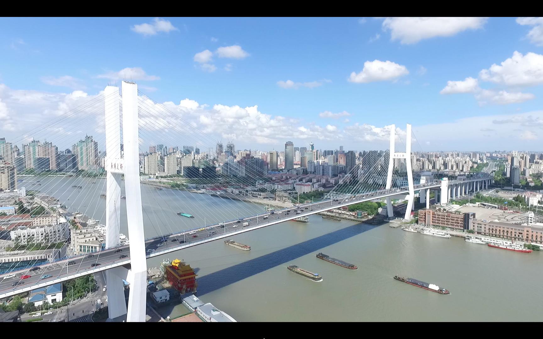 南浦大桥黄埔江视频的预览图