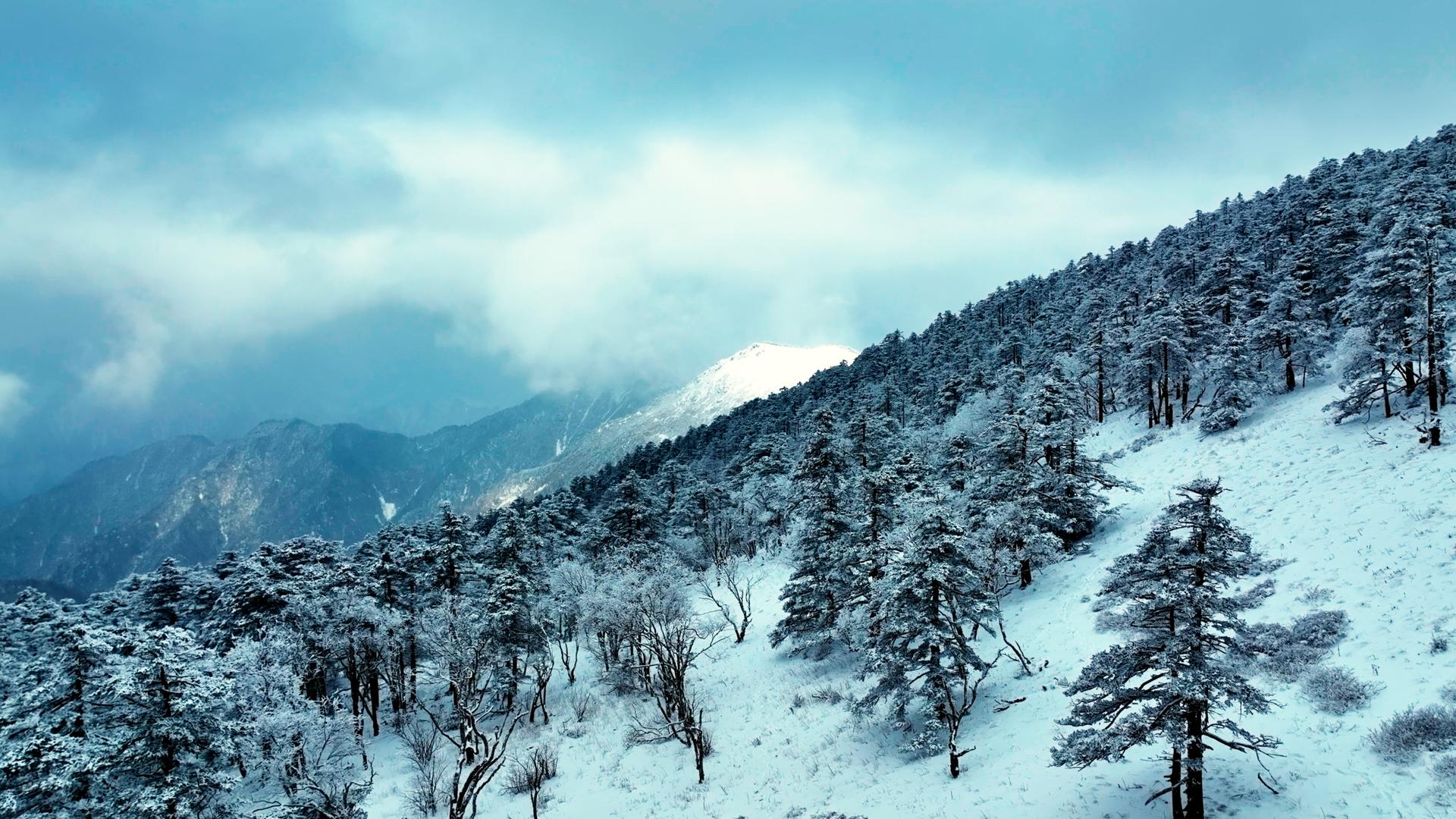 8K航拍雪山秦岭雪松雪景视频的预览图