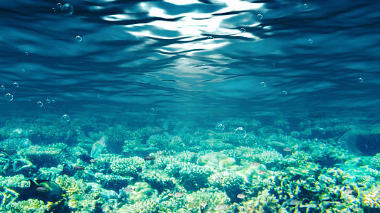 4K唯美的海底世界背景视频素材视频的预览图