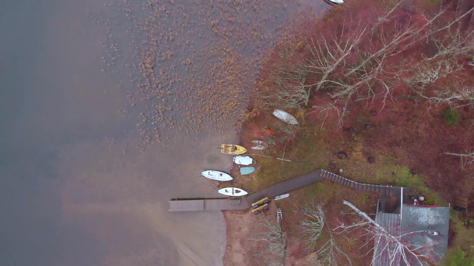 深秋 鸟眼在芬兰湖岸附近露营视频的预览图