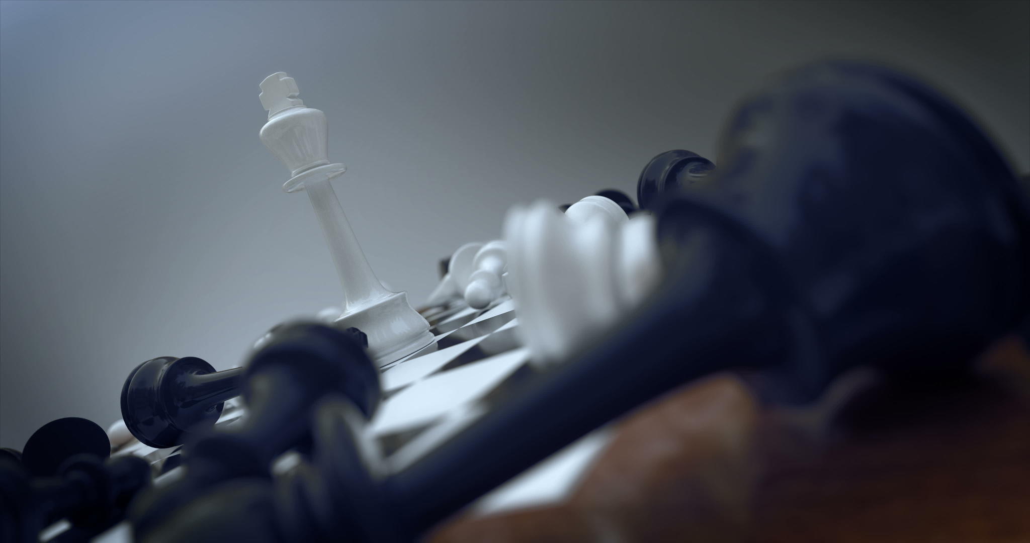 白象棋王获胜3d360度可循环动画视频的预览图