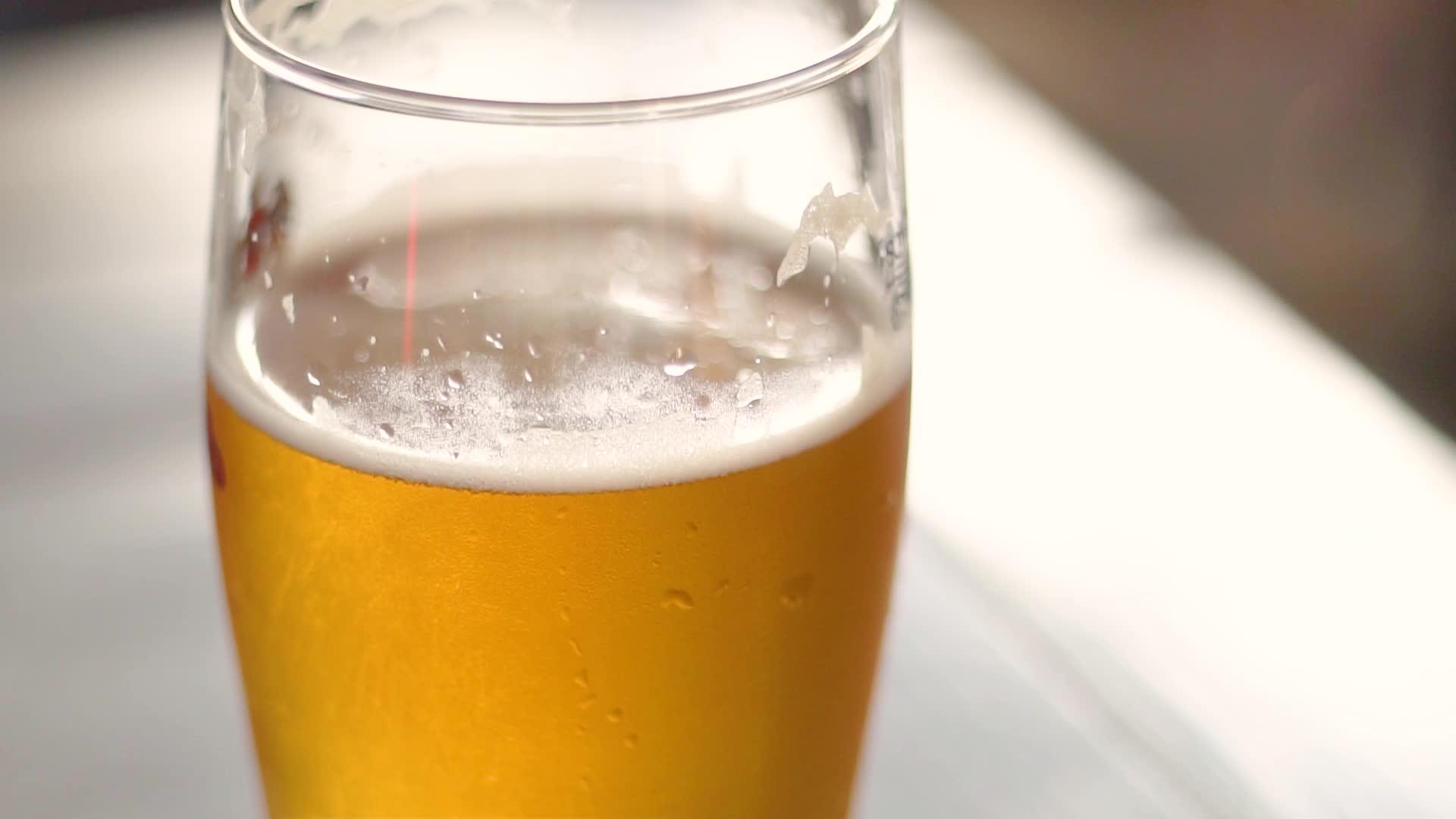 一杯冷啤酒涂在露水里视频的预览图
