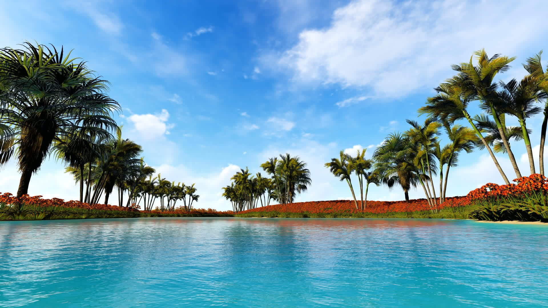 岛上的棕榈树和红花阳光明媚视频的预览图