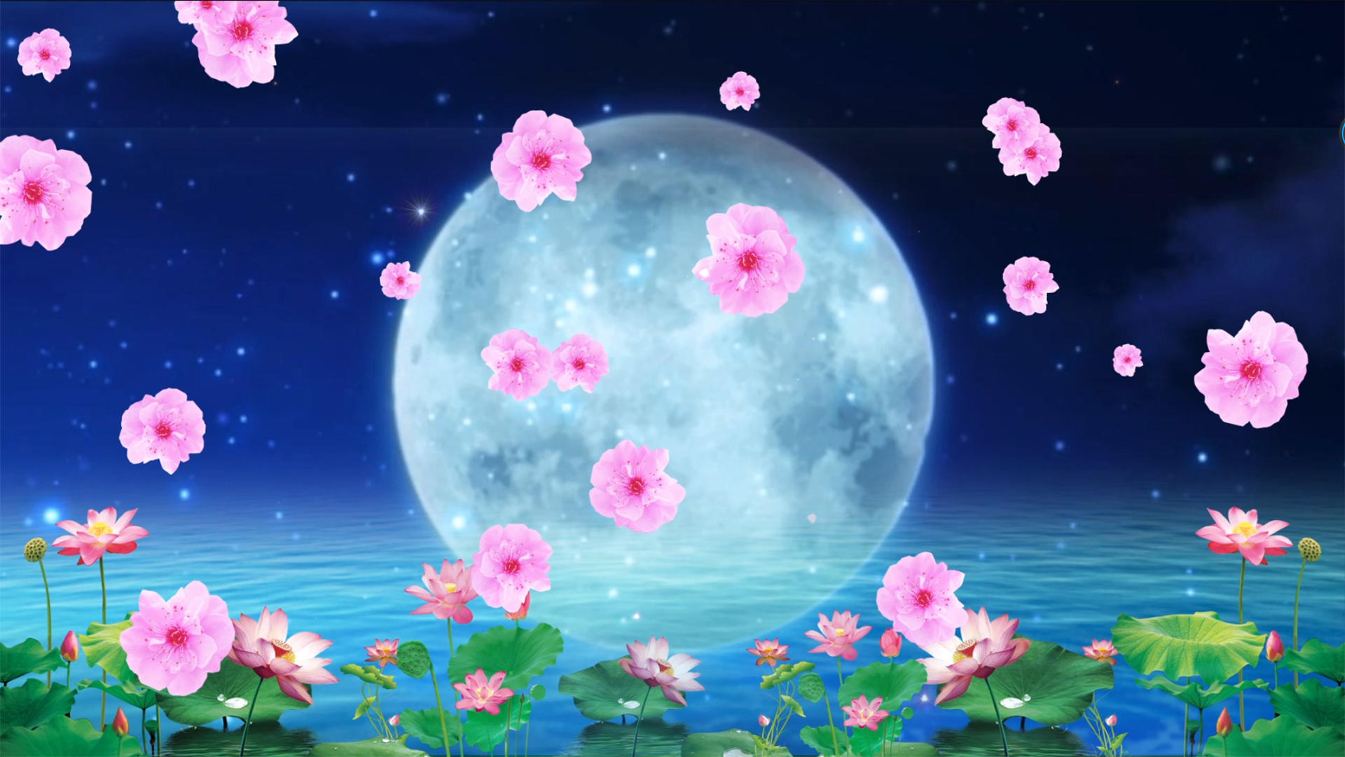 荷塘月色花瓣动画合成背景视频的预览图