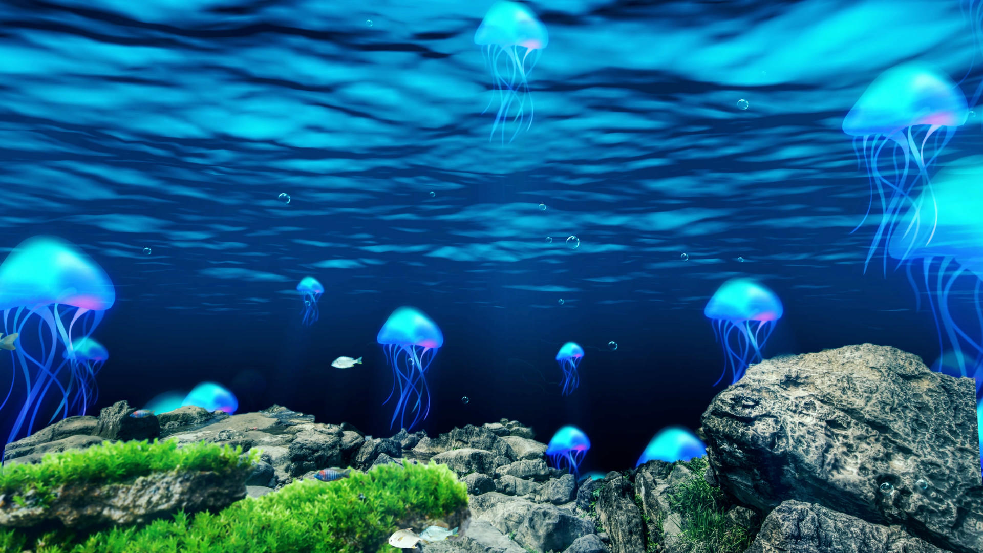 4K唯美的海底水母视频素材视频的预览图