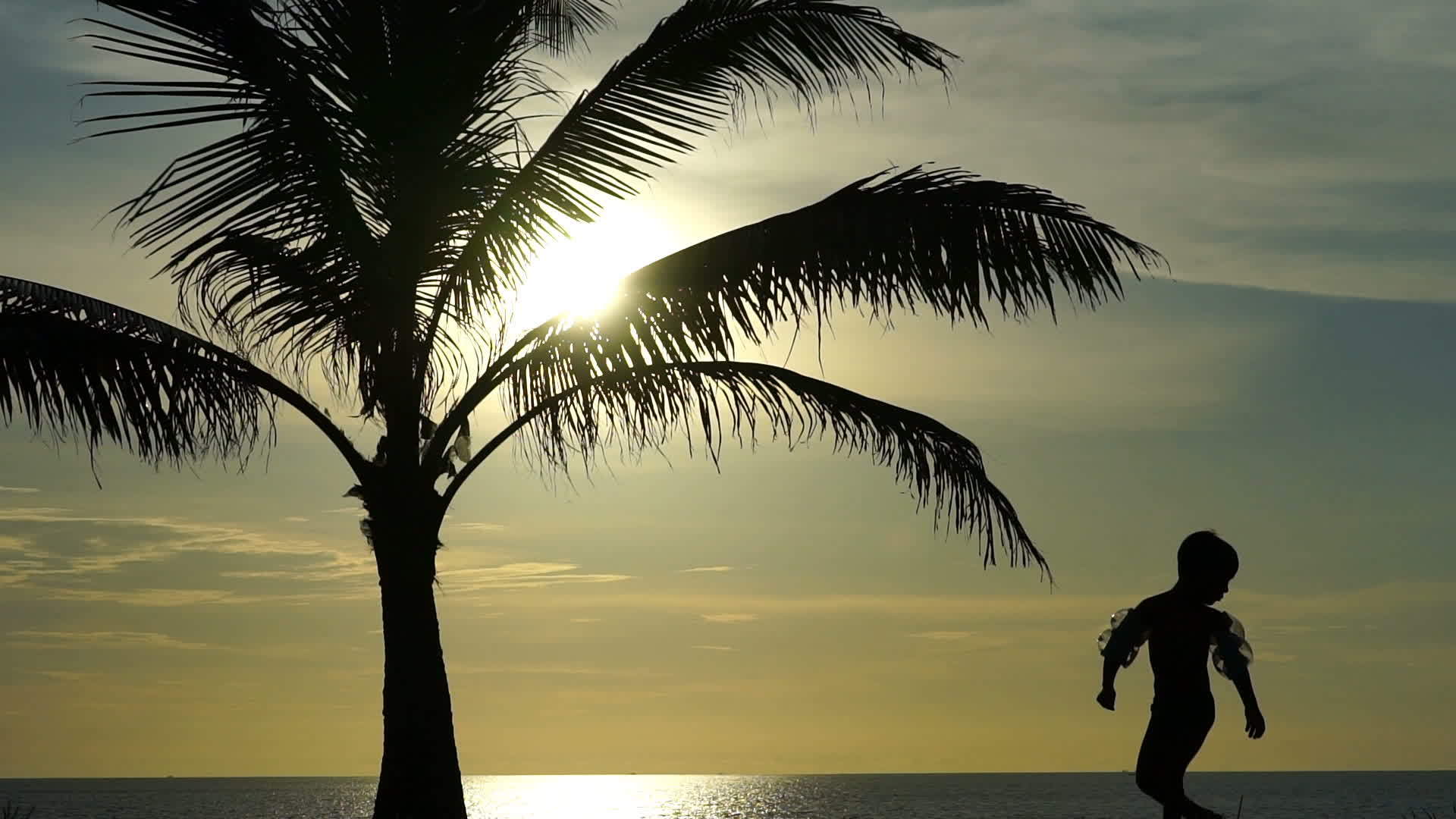 儿童在海洋和棕榈树的背景下跑步时的轮光背影视频的预览图