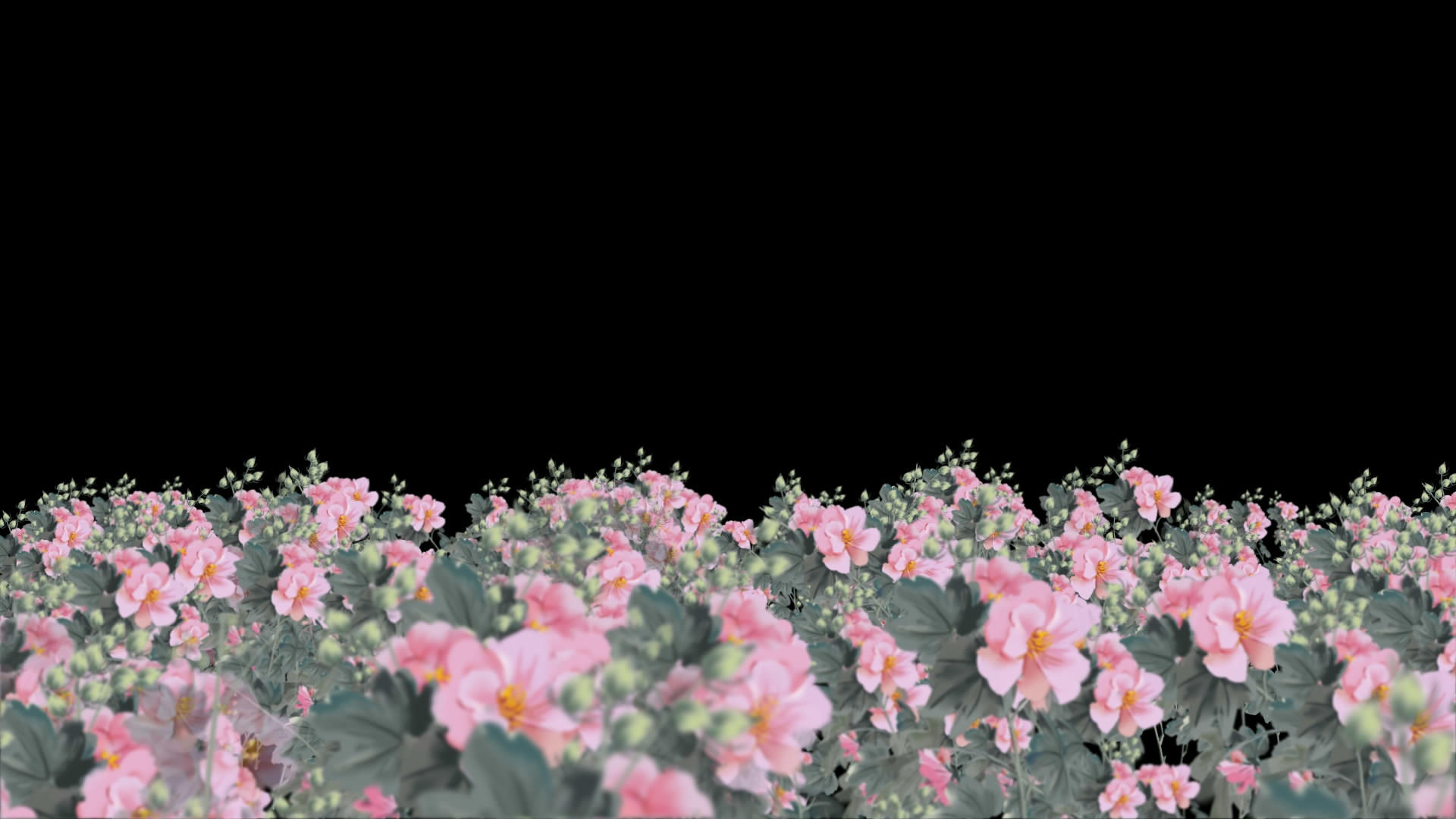 透明通道水墨鲜花素材视频的预览图