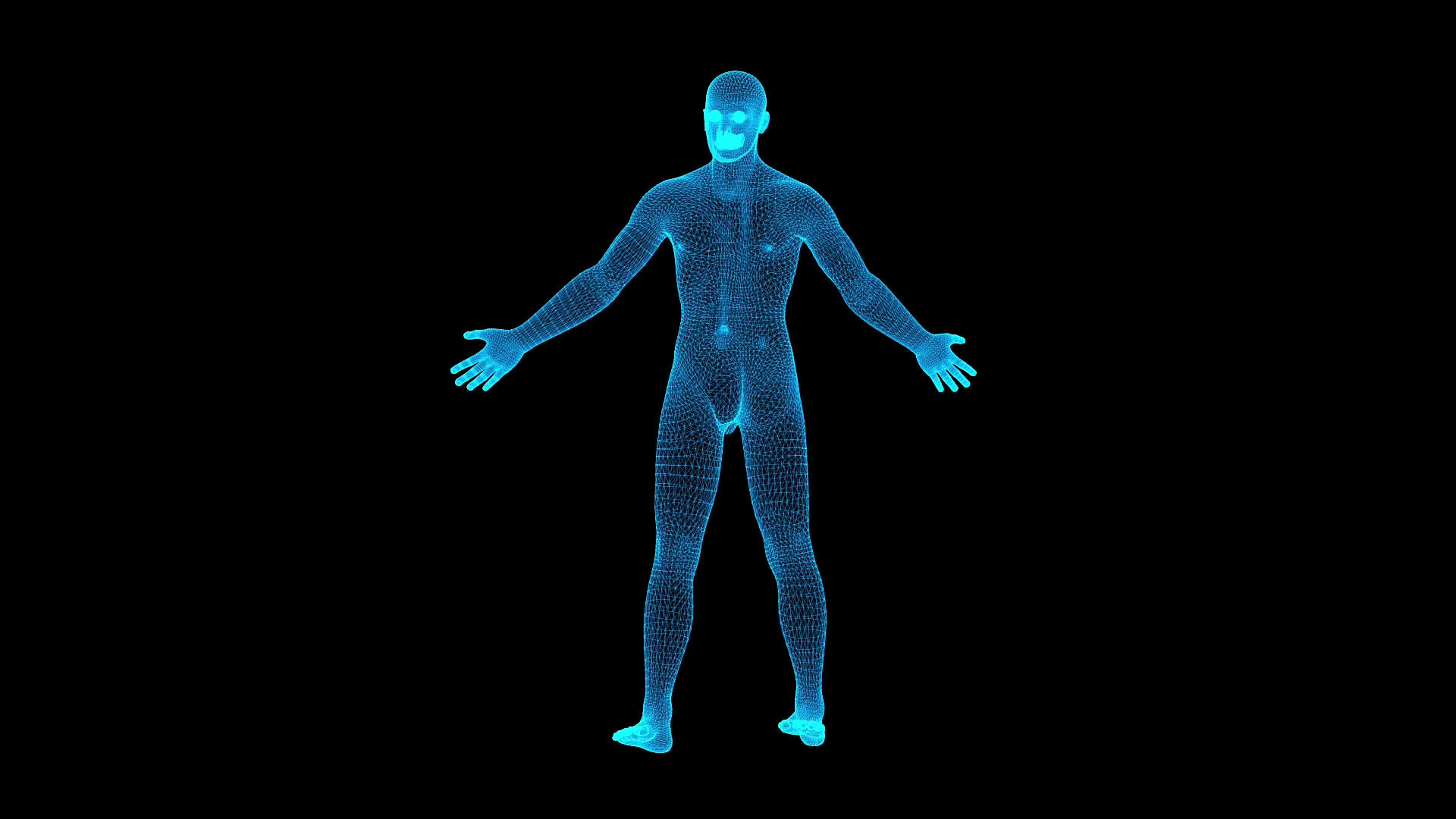 人体扫描视频的预览图