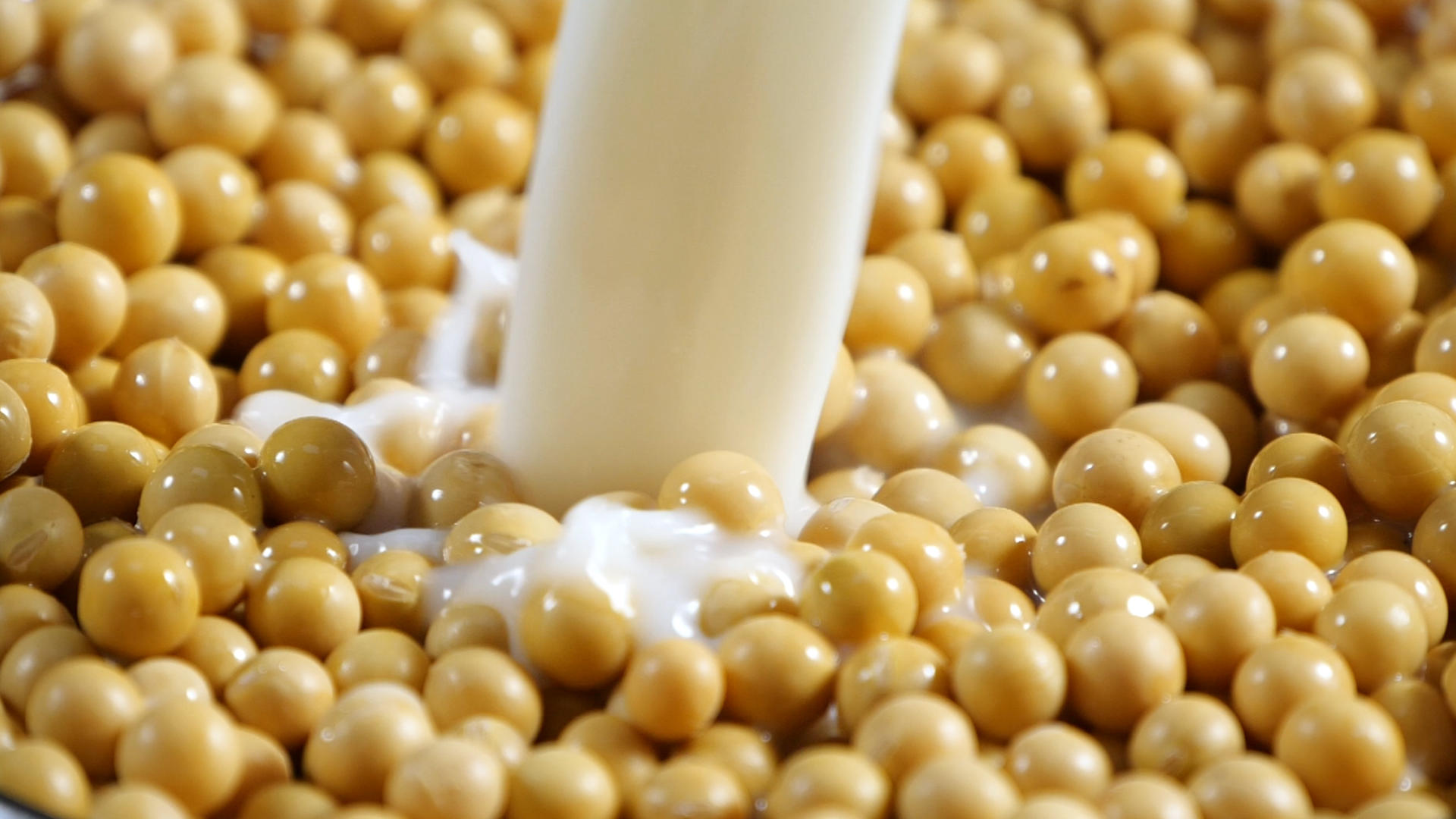 升格豆奶黄豆牛奶豆浆饮品素材黄豆落入牛奶视频的预览图