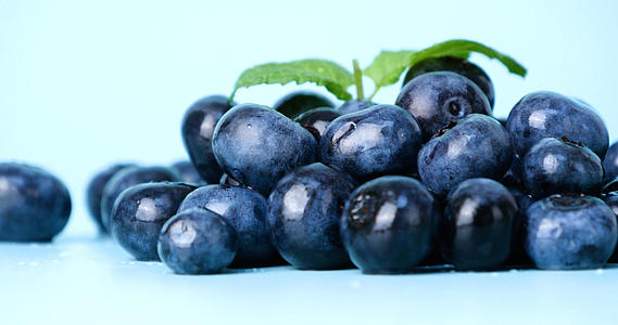 4K蓝莓黑豆树新鲜水果新鲜蓝莓水果视频的预览图