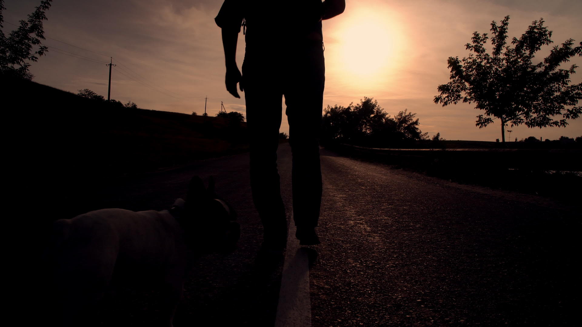 男人和狗一起进入日落视频的预览图