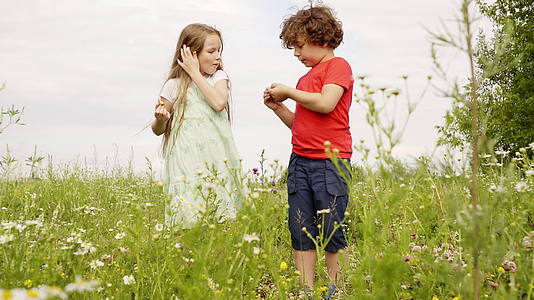 小男孩和夏日田野里散步时小男孩和小女孩抚摸着牛蒡花年轻时还年轻视频的预览图