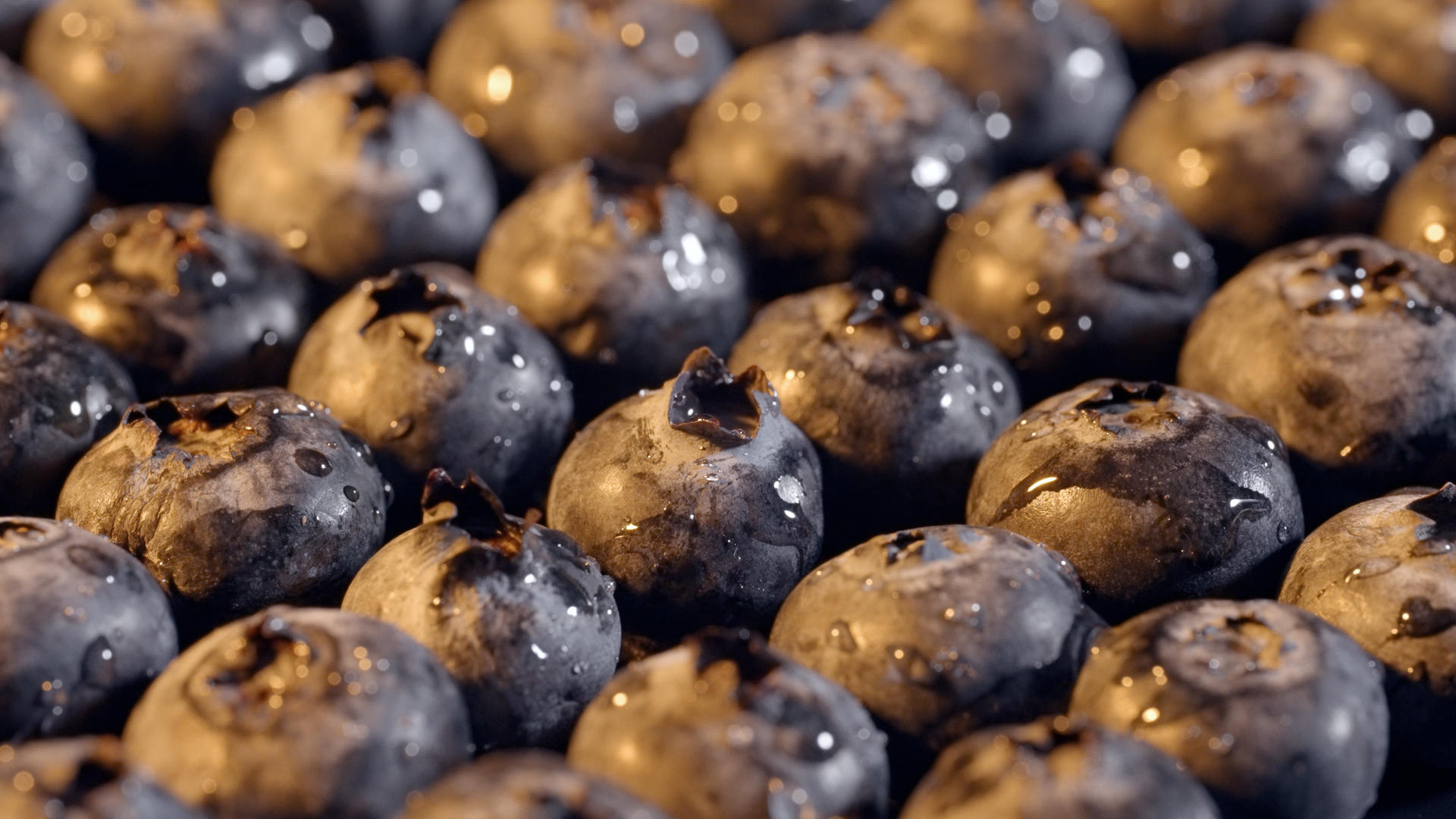 4K阳光照耀饱满蓝莓水果视频的预览图