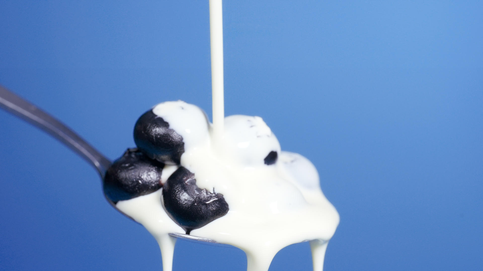 4K牛奶乳制品浇淋蓝莓水果视频的预览图
