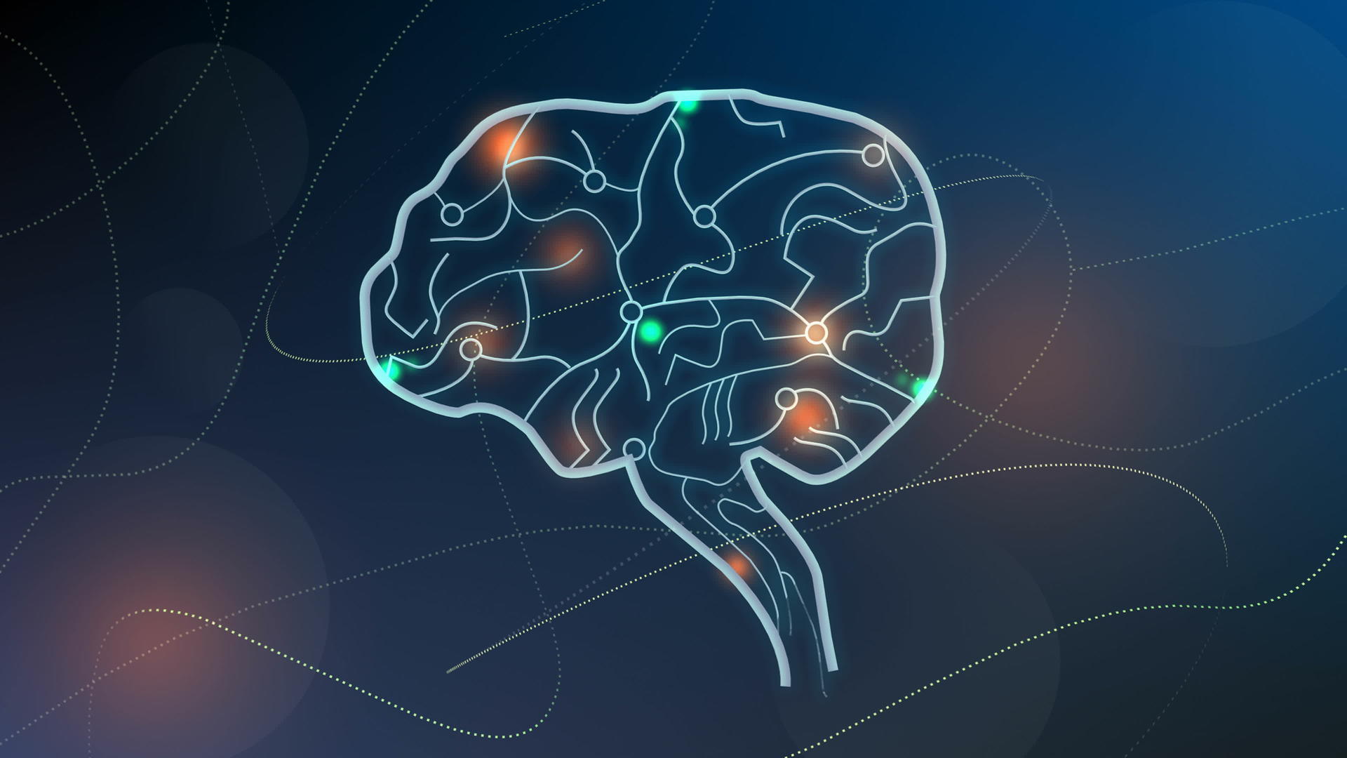 人脑节点神经系统视频的预览图