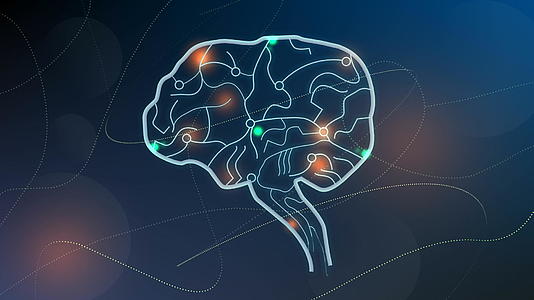 人脑节点神经系统视频的预览图