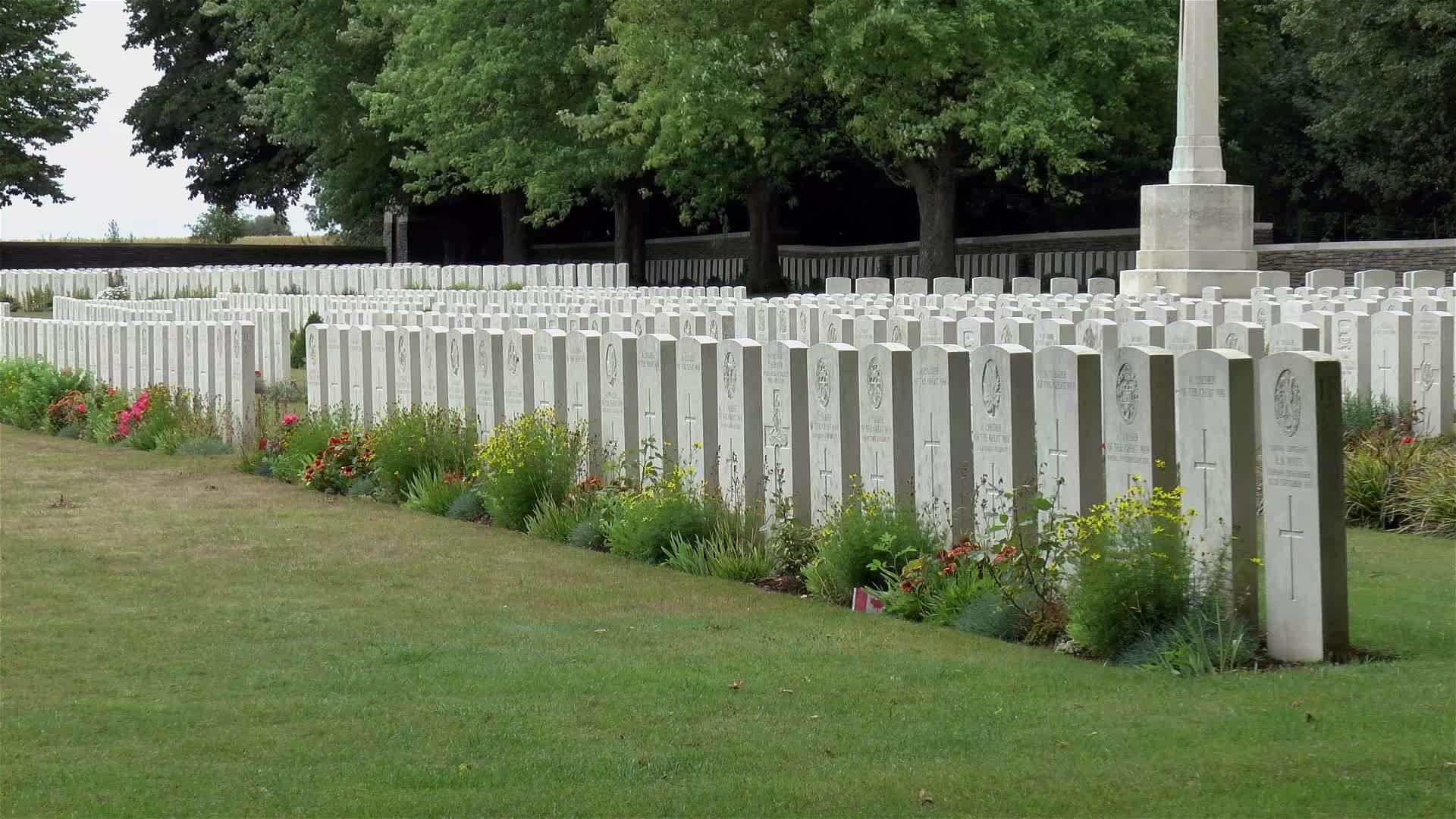 佛朗西娅州加拿大国家维米纪念馆公墓视频的预览图