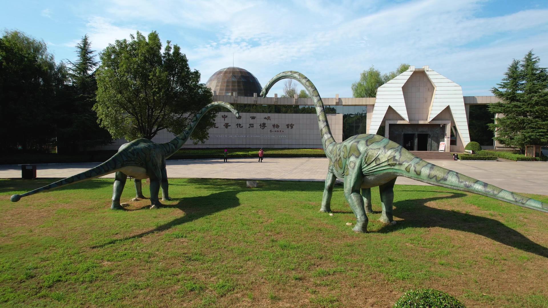 5A河南南阳西峡恐龙遗址园景区恐龙蛋化石博物馆视频视频的预览图