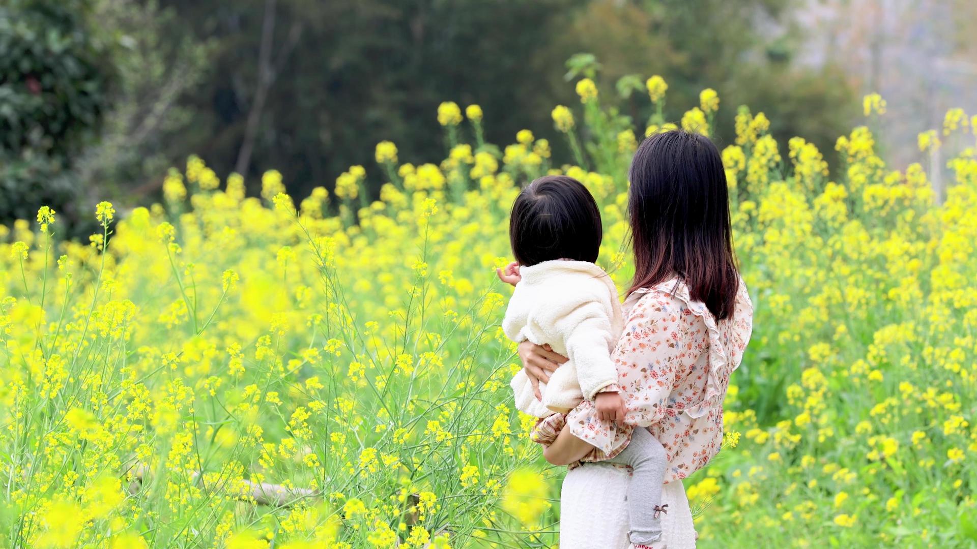 母亲抱着孩子赏花看风景背影视频的预览图
