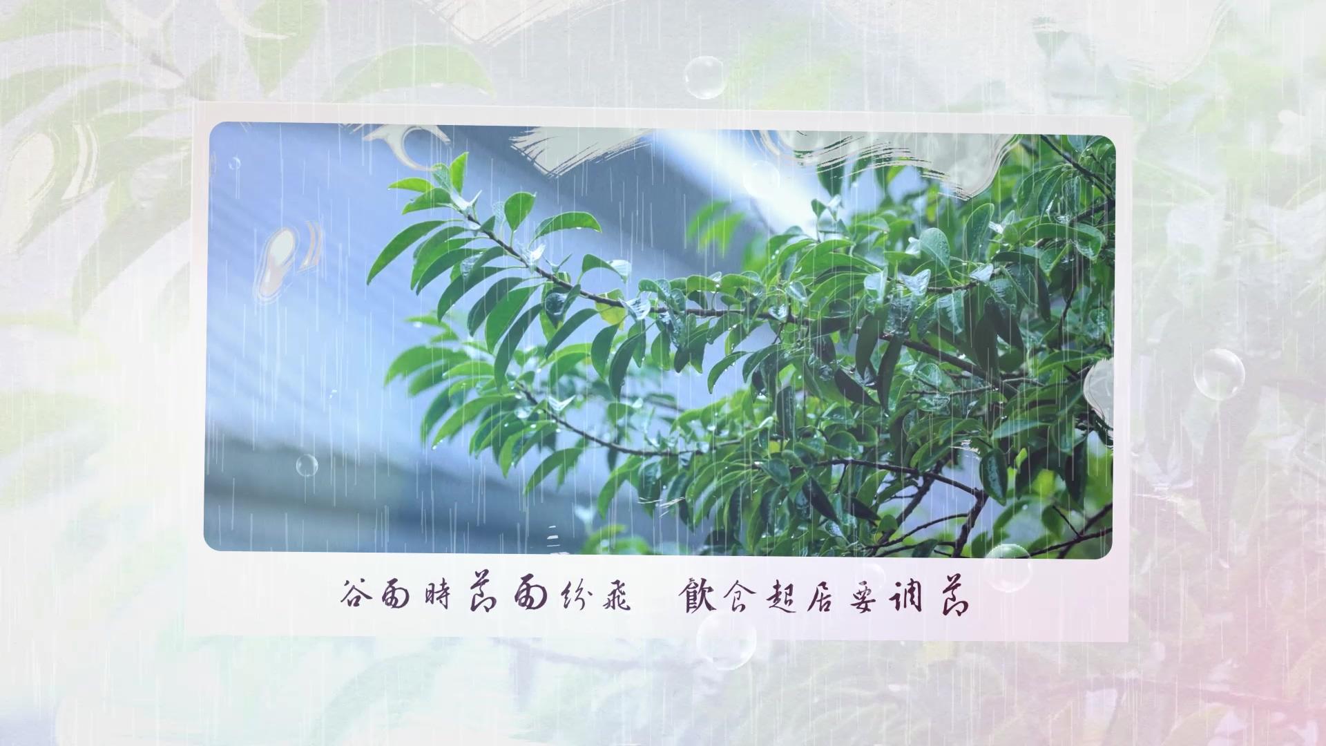 二十四节气谷雨图宣传展示AE模板视频的预览图