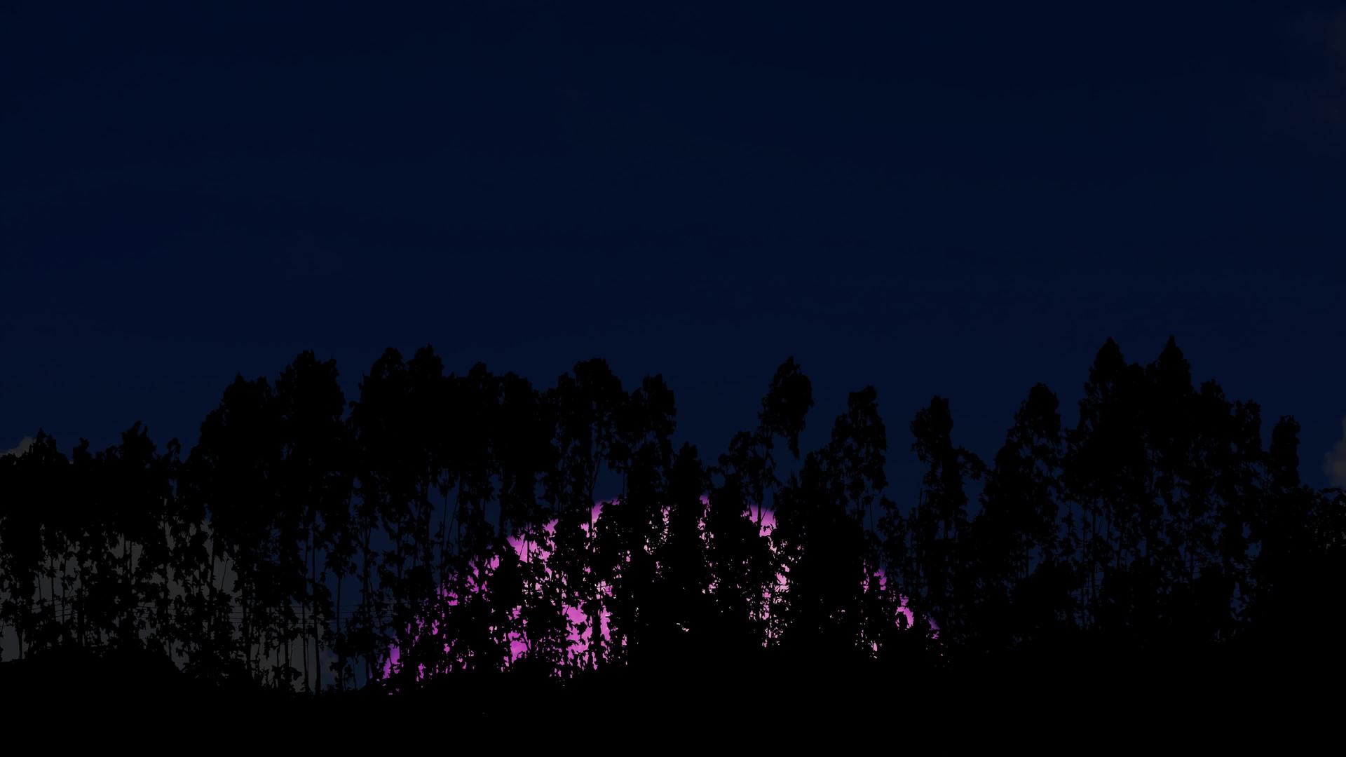超级粉红色的月亮在松树的圆形围栏上重新升起视频的预览图