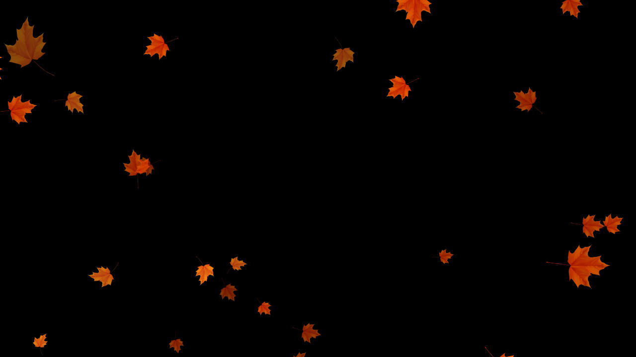枫叶下落带透明通道视频的预览图