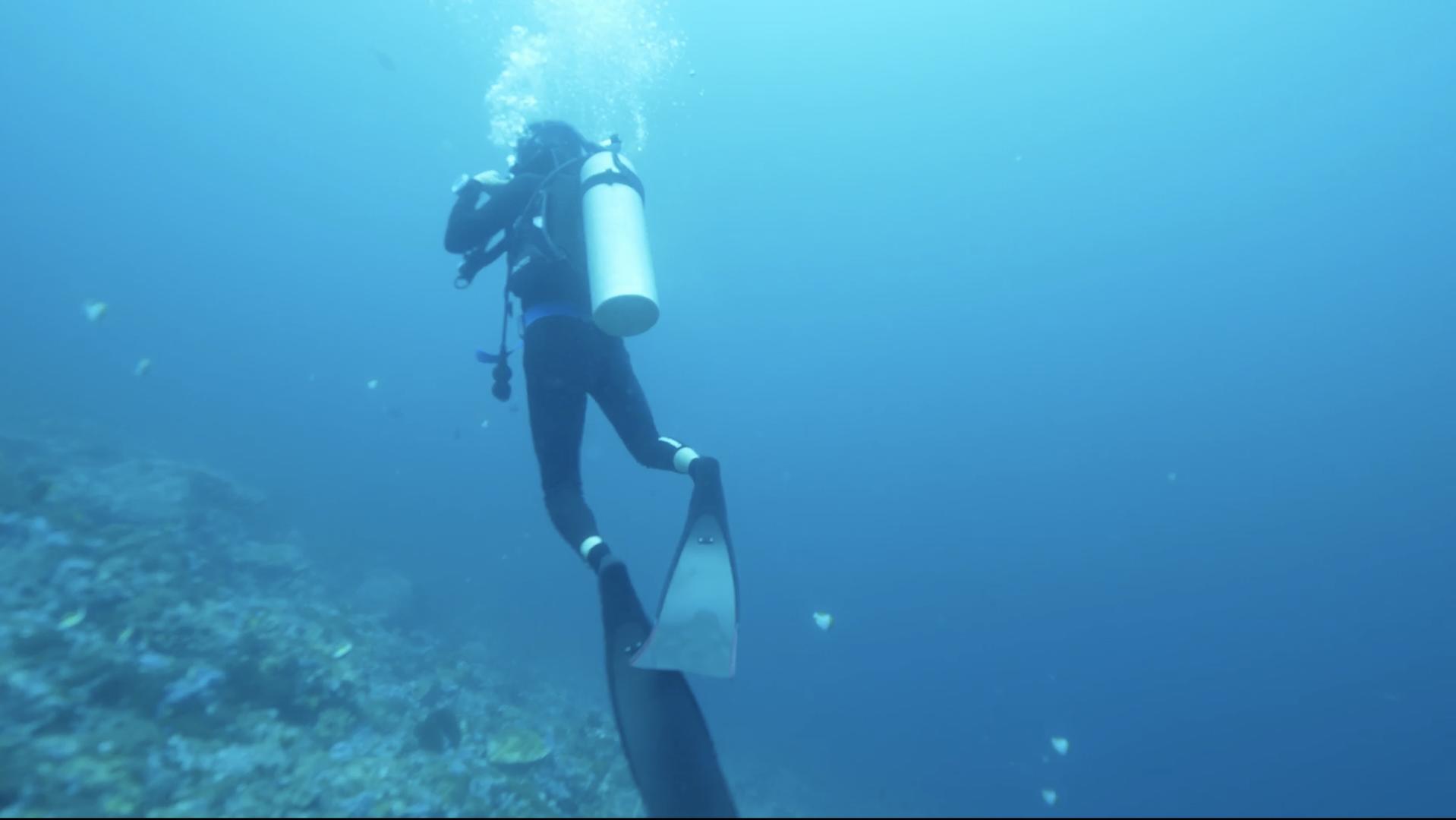 男生水下潜水转身视频的预览图