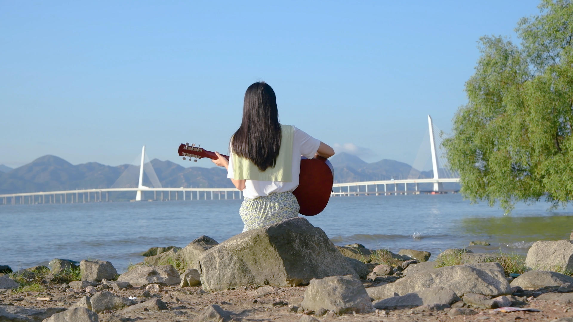 4k深圳湾海边弹吉他的女孩背影视频的预览图