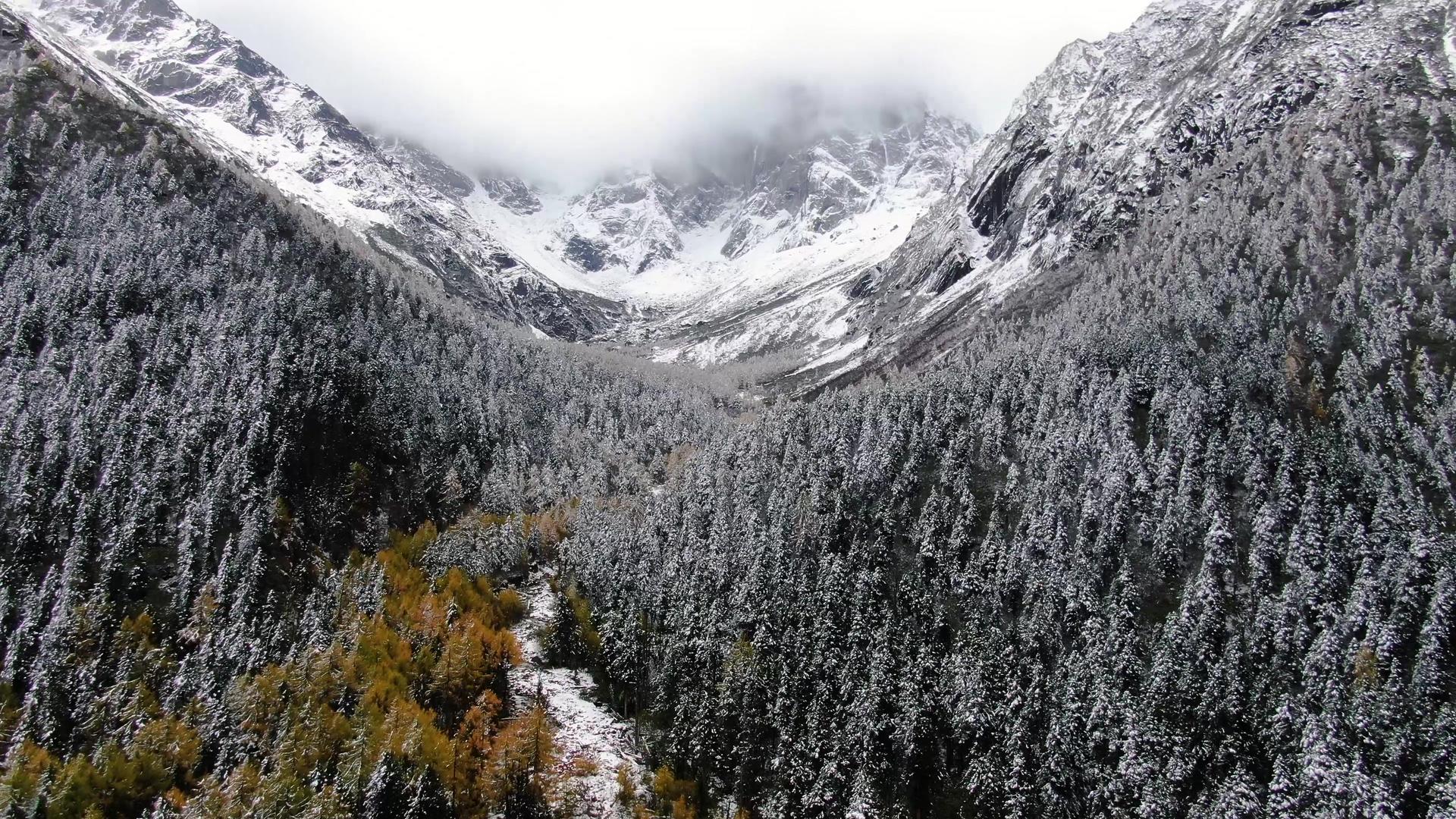 航拍四川阿坝州著名景区四姑娘山雪景视频视频的预览图