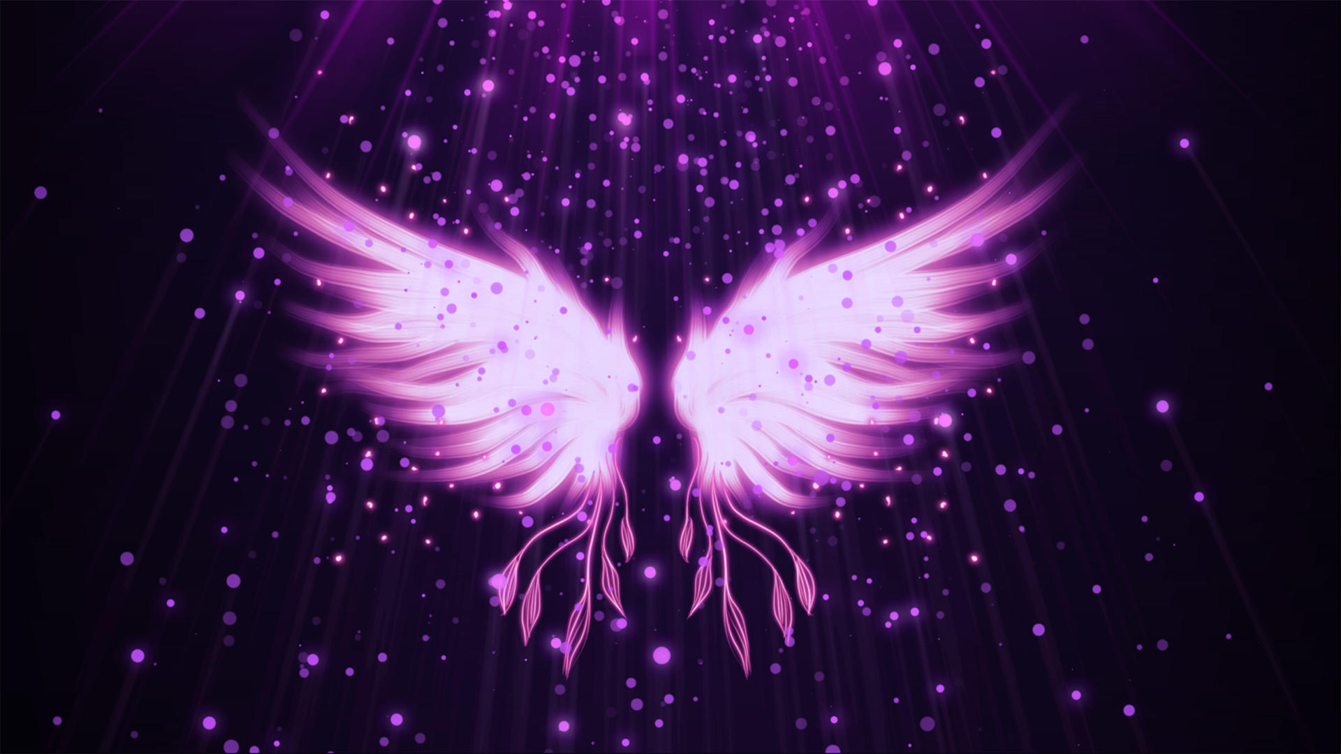 粒子紫色翅膀动画元素合成背景视频的预览图