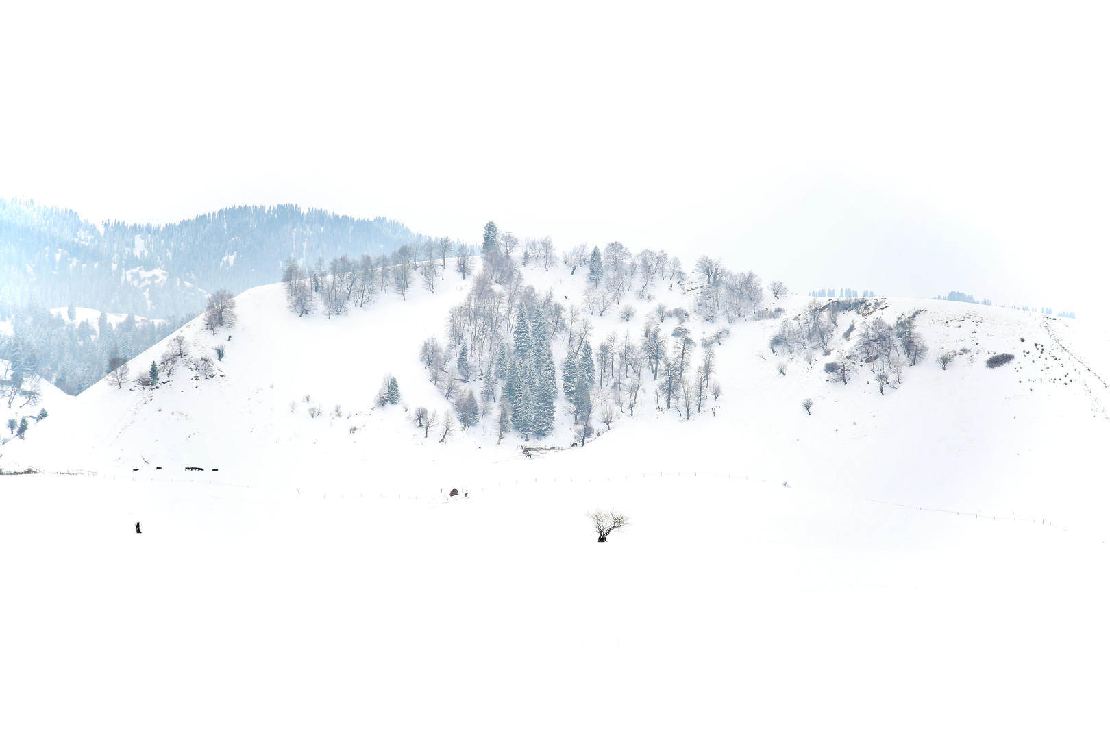 新疆伊犁州5A景区那拉提旅游风景区雪景视频的预览图